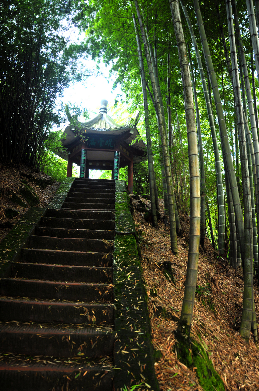 成都川西竹海景区图片