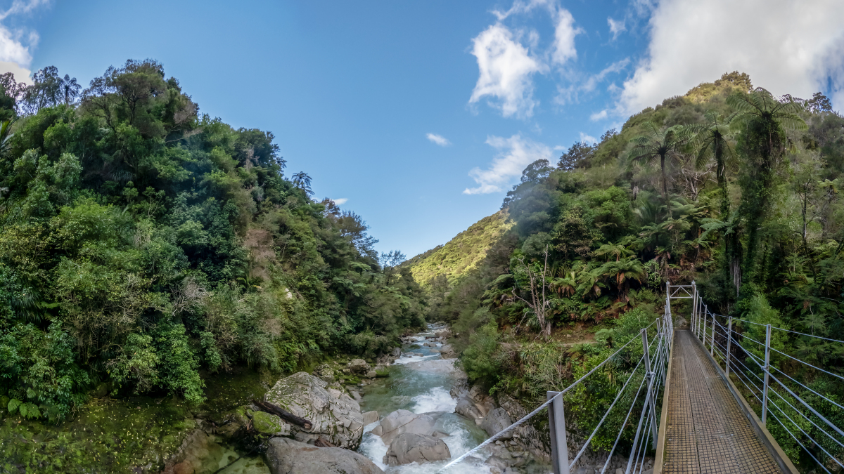 宝鸡景区大水川图片