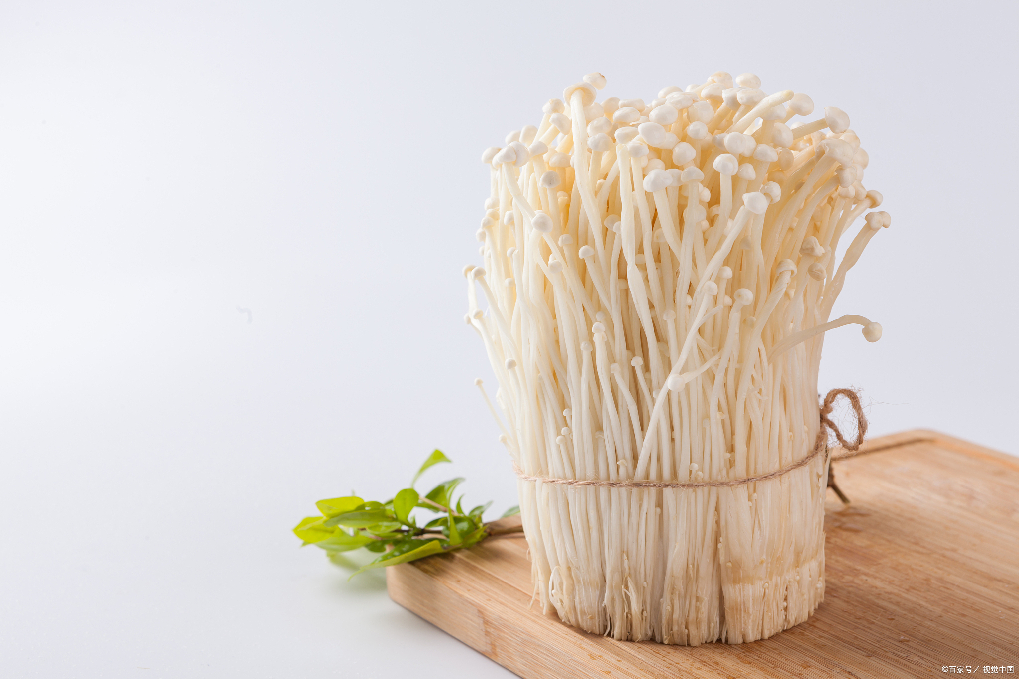 金针菇根切下来怎么种植