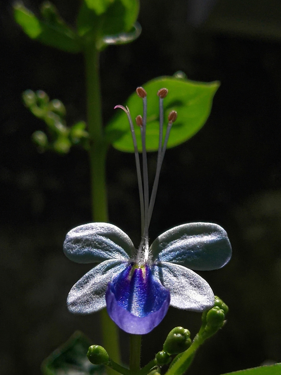 归根结蒂,意思是指归结到根本.