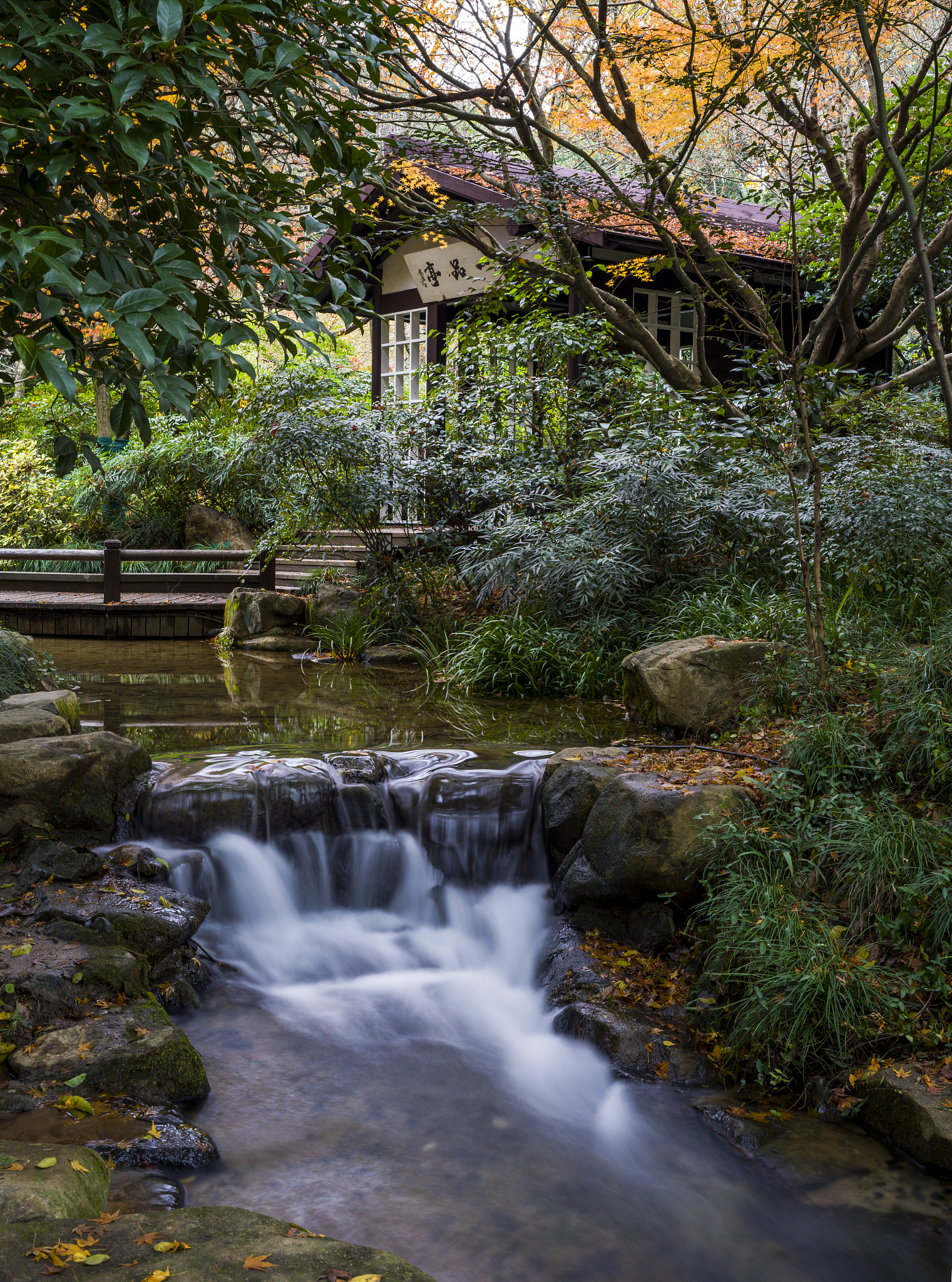 精舍遇雨(一作可止诗)