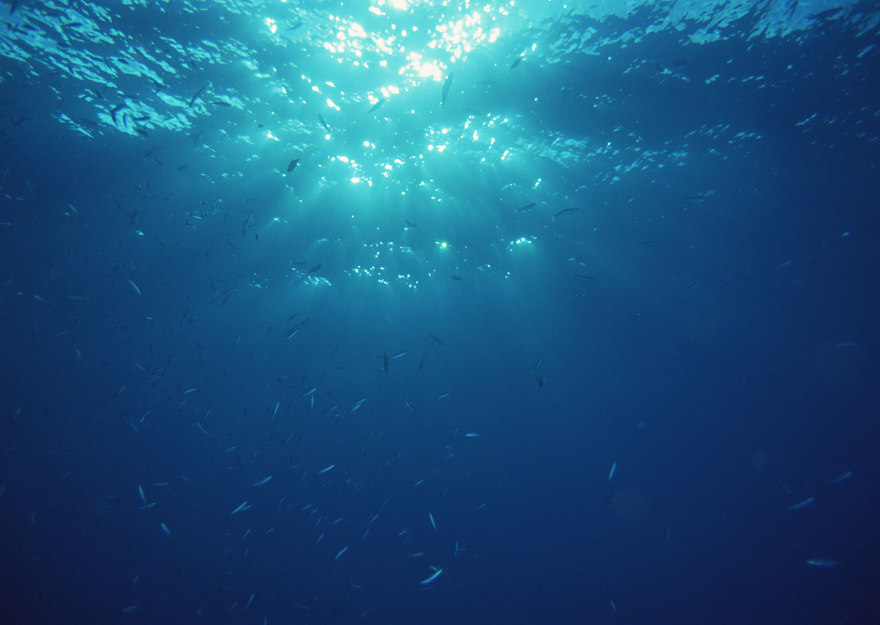 科学漫谈# 深海探索:揭秘地球最后的边疆 深海,地球上最大也是最沃
