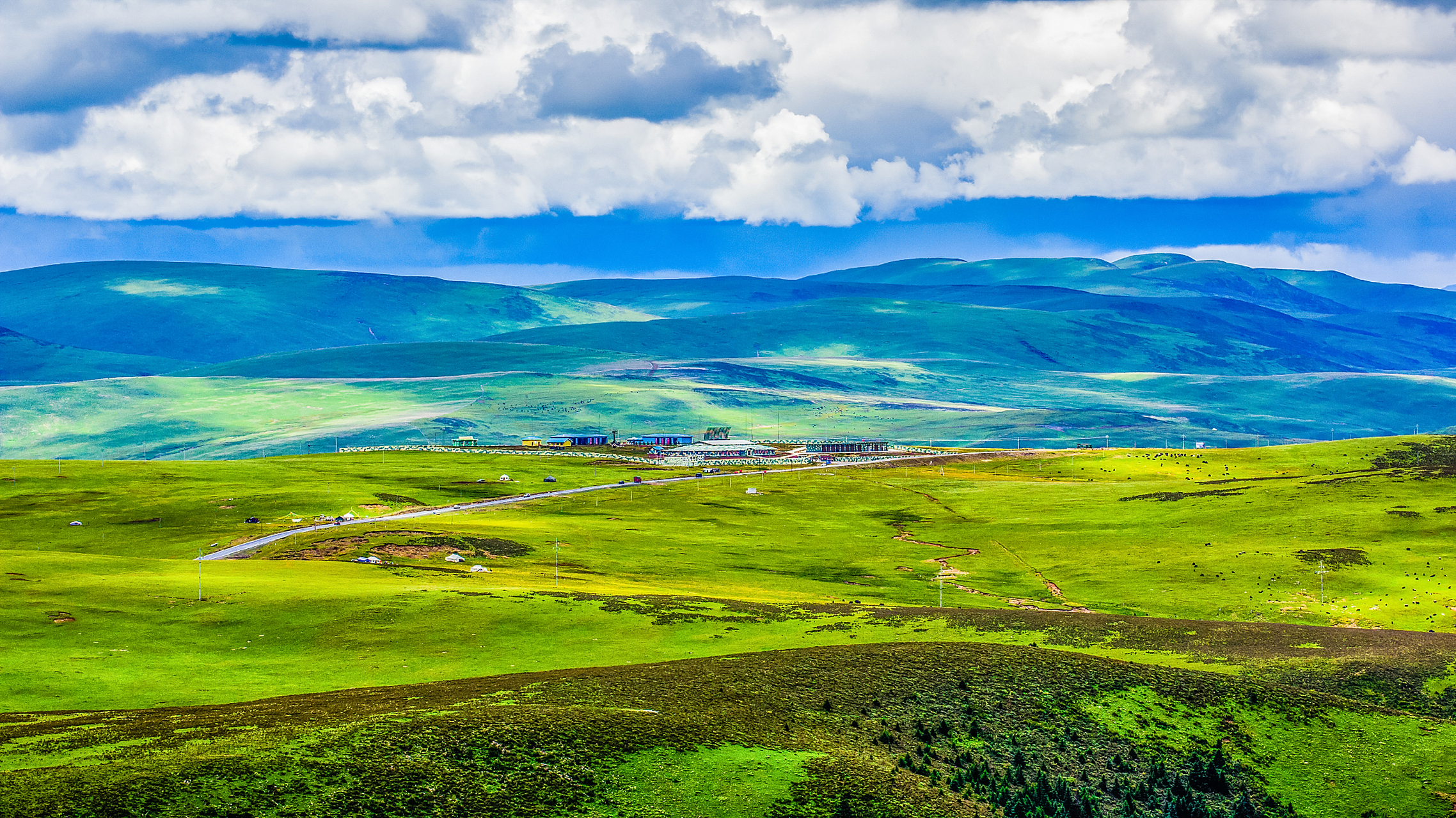 "这个夏天,想要清凉避暑逃离酷热,去一趟若尔盖草原吧!