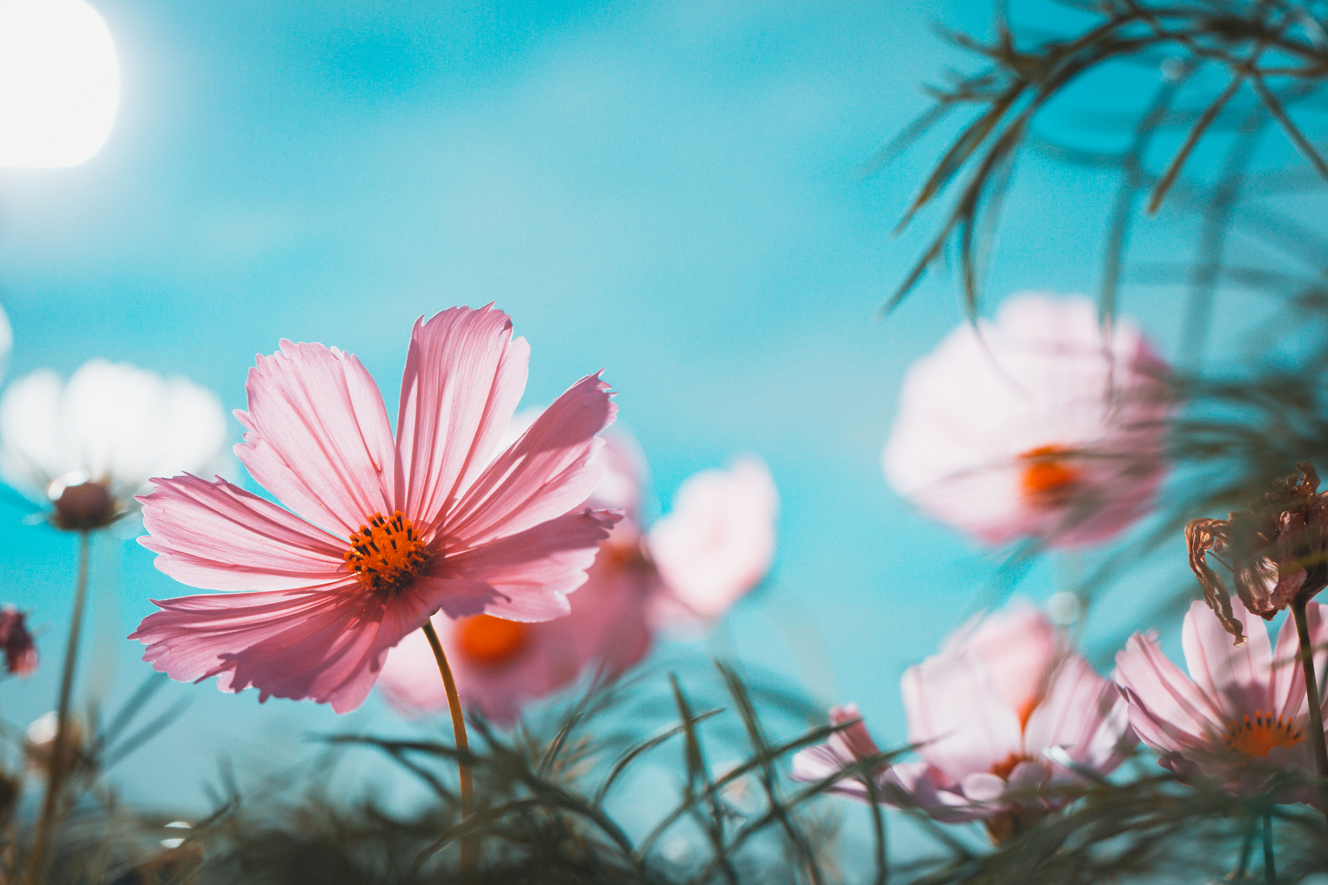 中年是生活的重要转折点,要过上优雅舒适的生活,需注意身体健康,心理