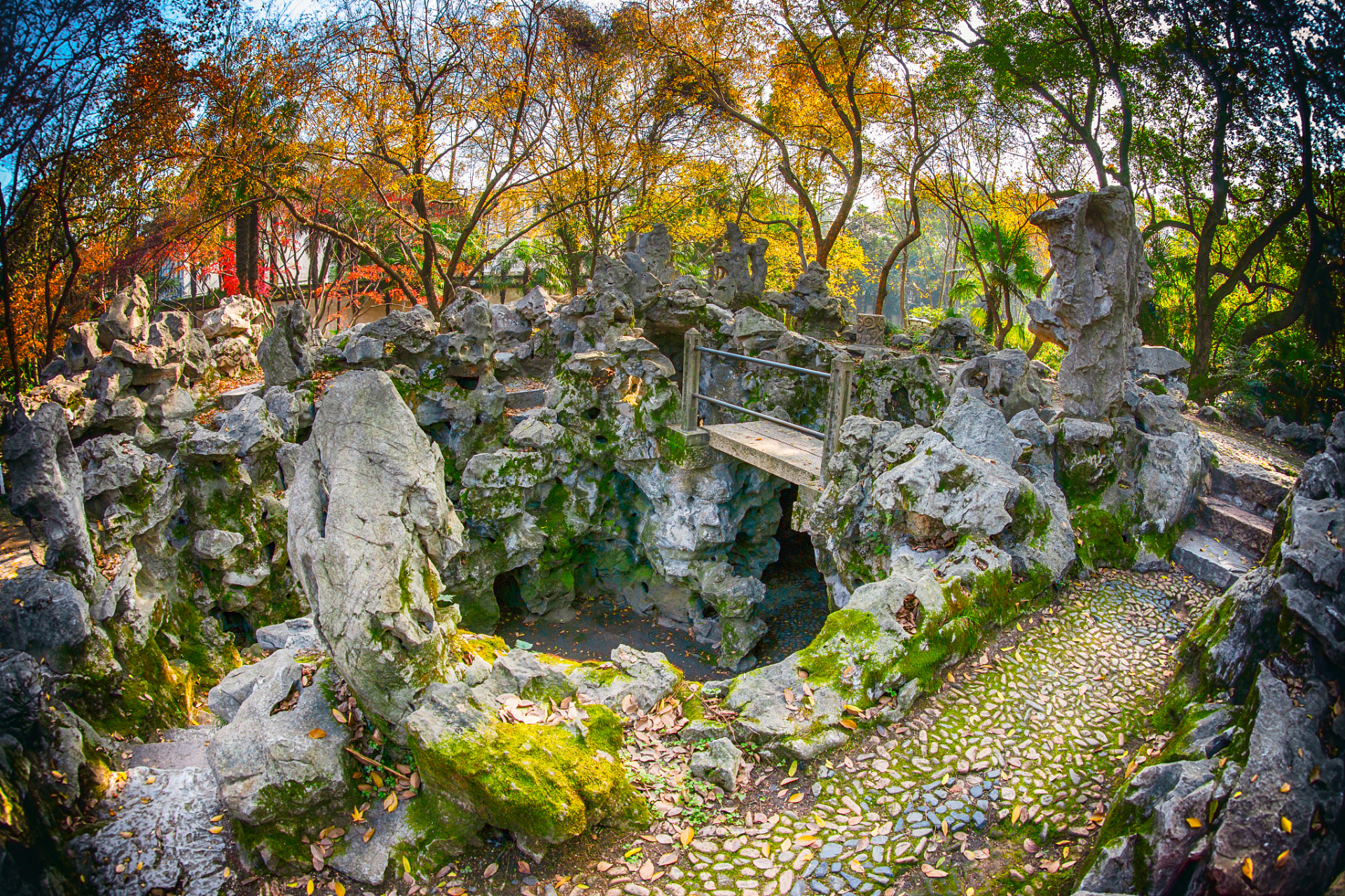 杏林大观园景区图片