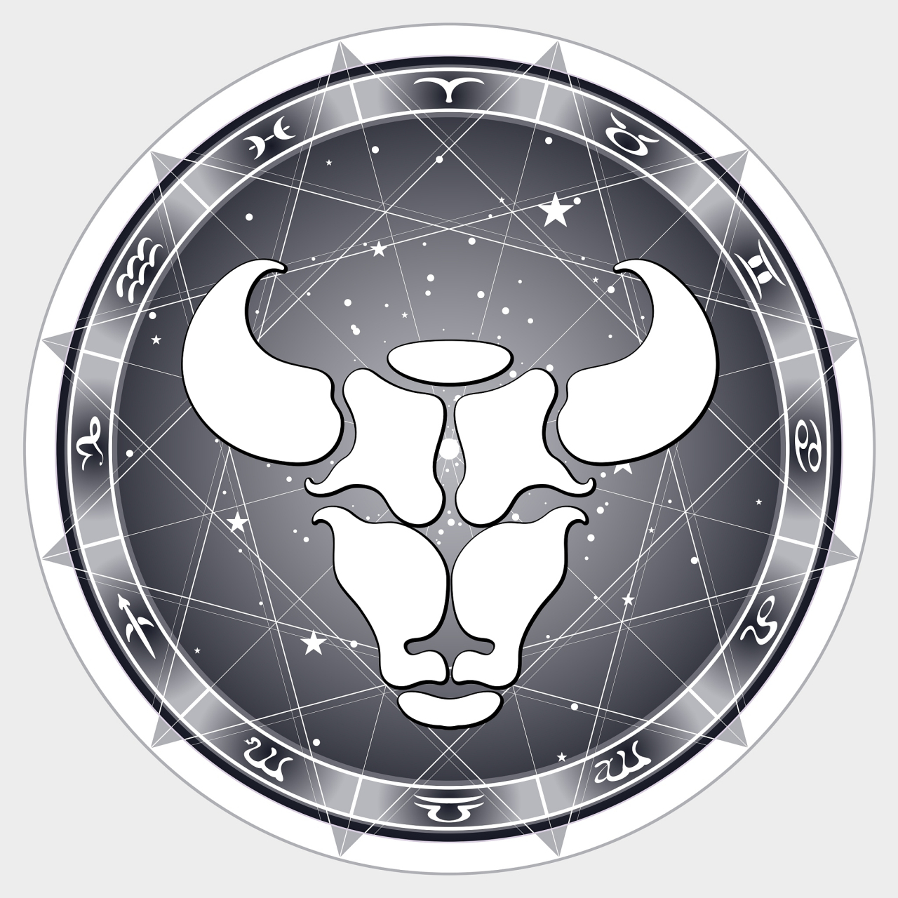 04  你一定很好奇,被金牛座认定究竟是一种怎样的体验?