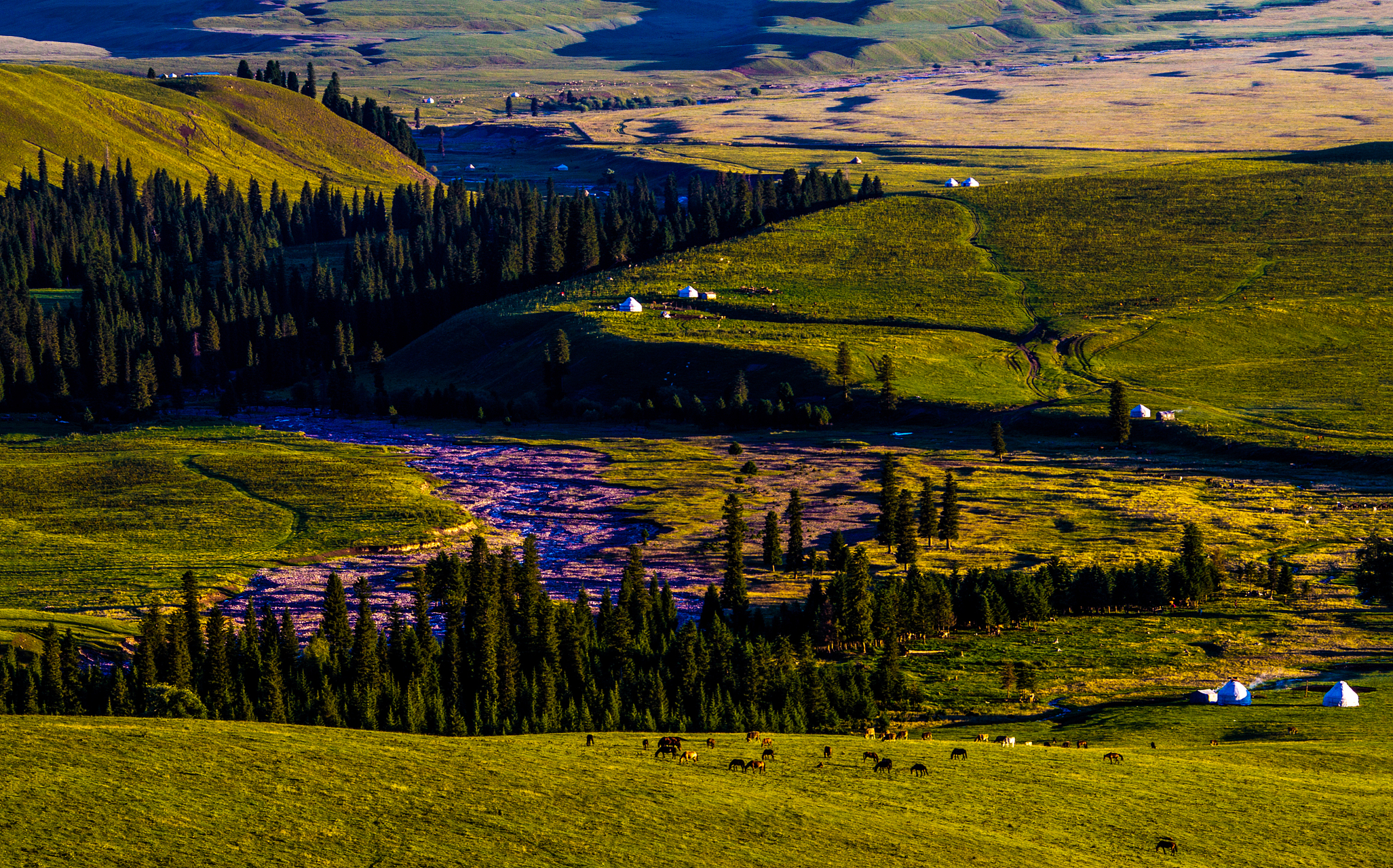奇遇那拉提#新疆那拉提巴里坤草原是一个具有深厚人文历史底蕴的地方