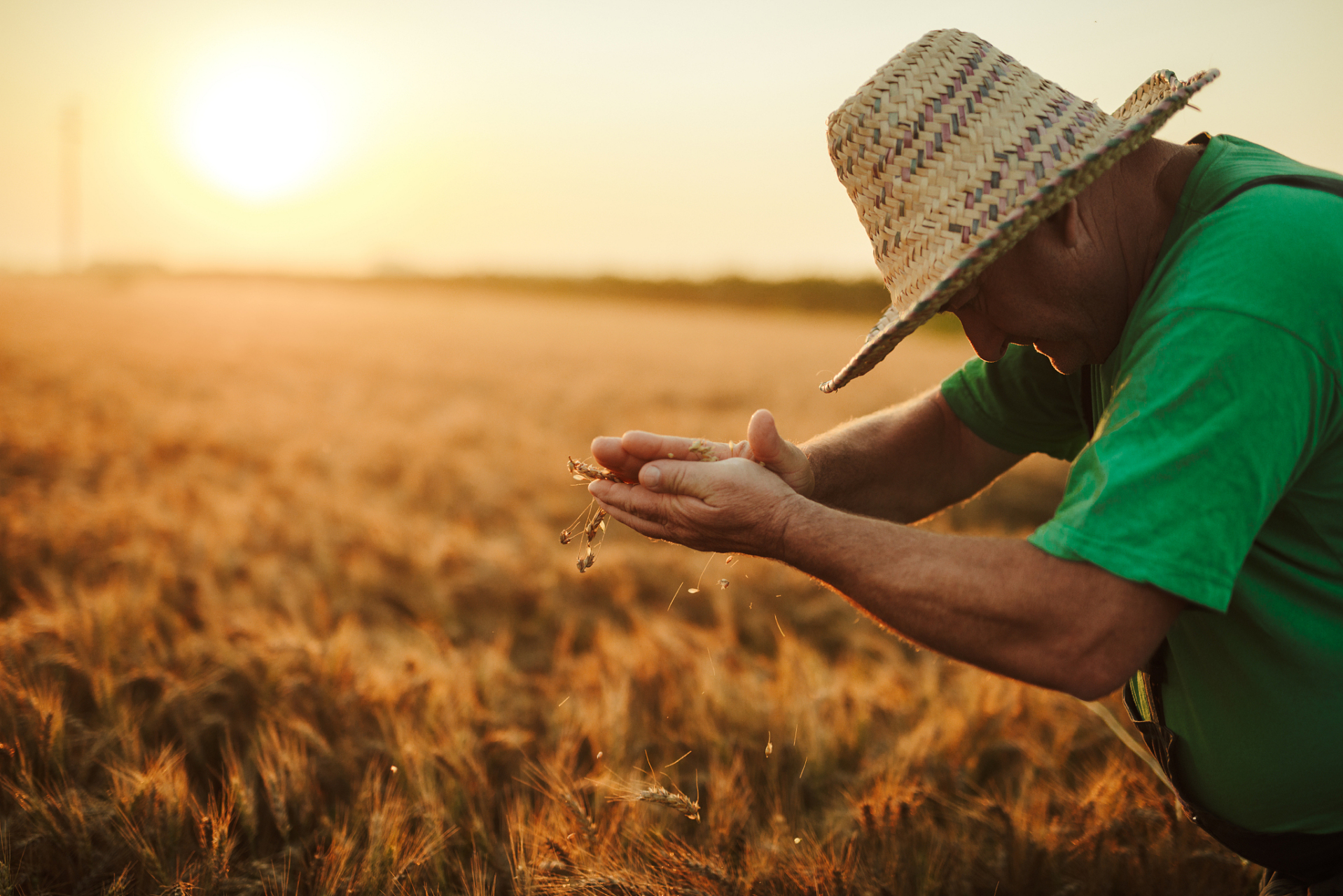 90 每一粒粮食背后,都有农民辛勤劳作的身影.