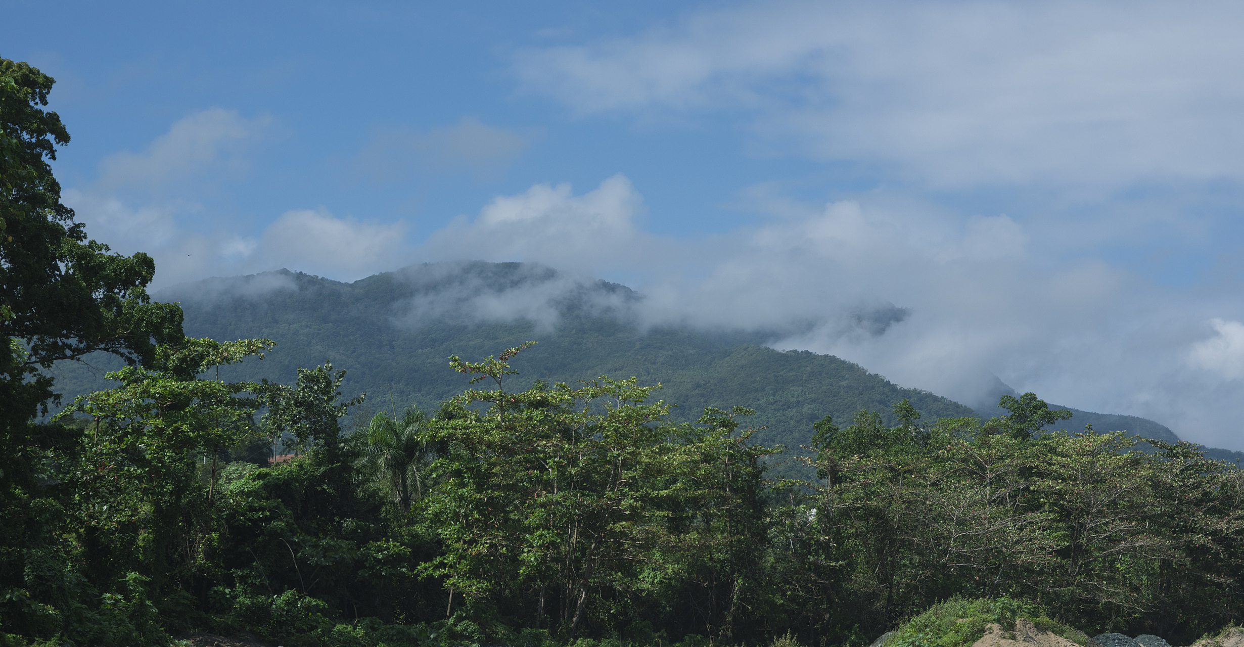 新平哀牢山风景区图片