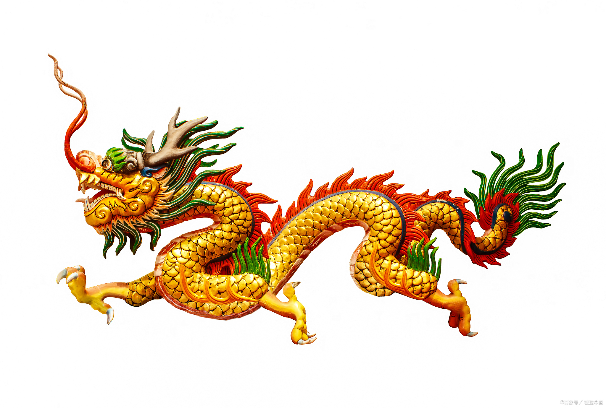龙的力量:突破困境,展翅高飞(7)