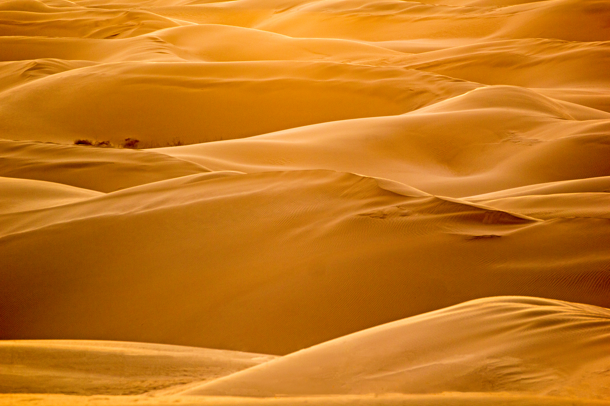 隐秘的自然宝藏:中国最远的陆地沙漠,古尔班通古特沙漠