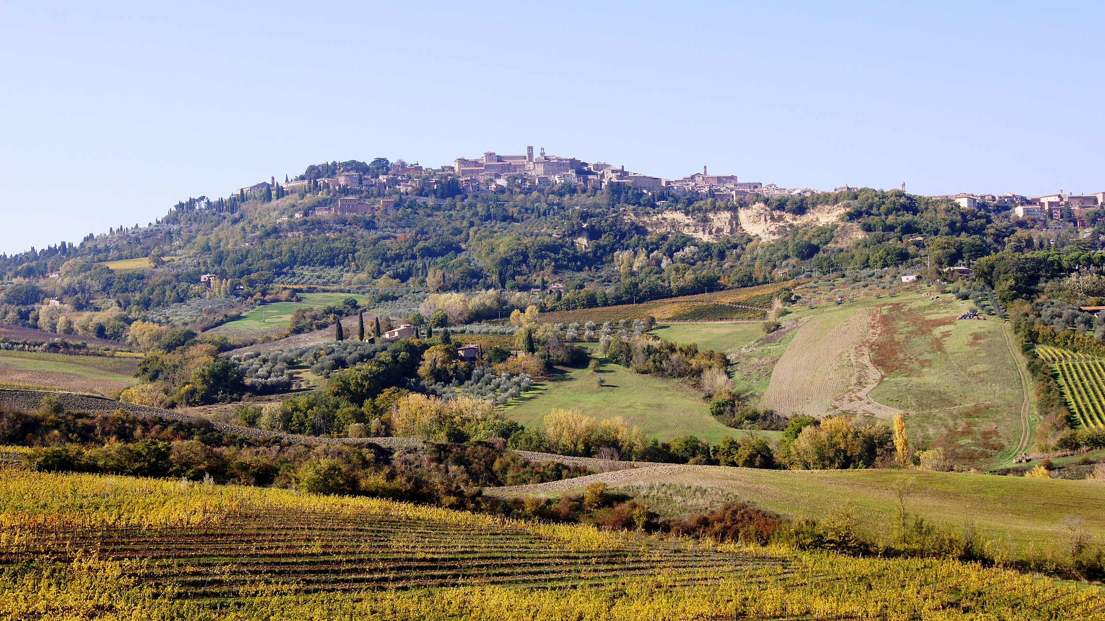 纳帕谷位于美国加利福尼亚州,是世界著名的葡萄酒产区之一.