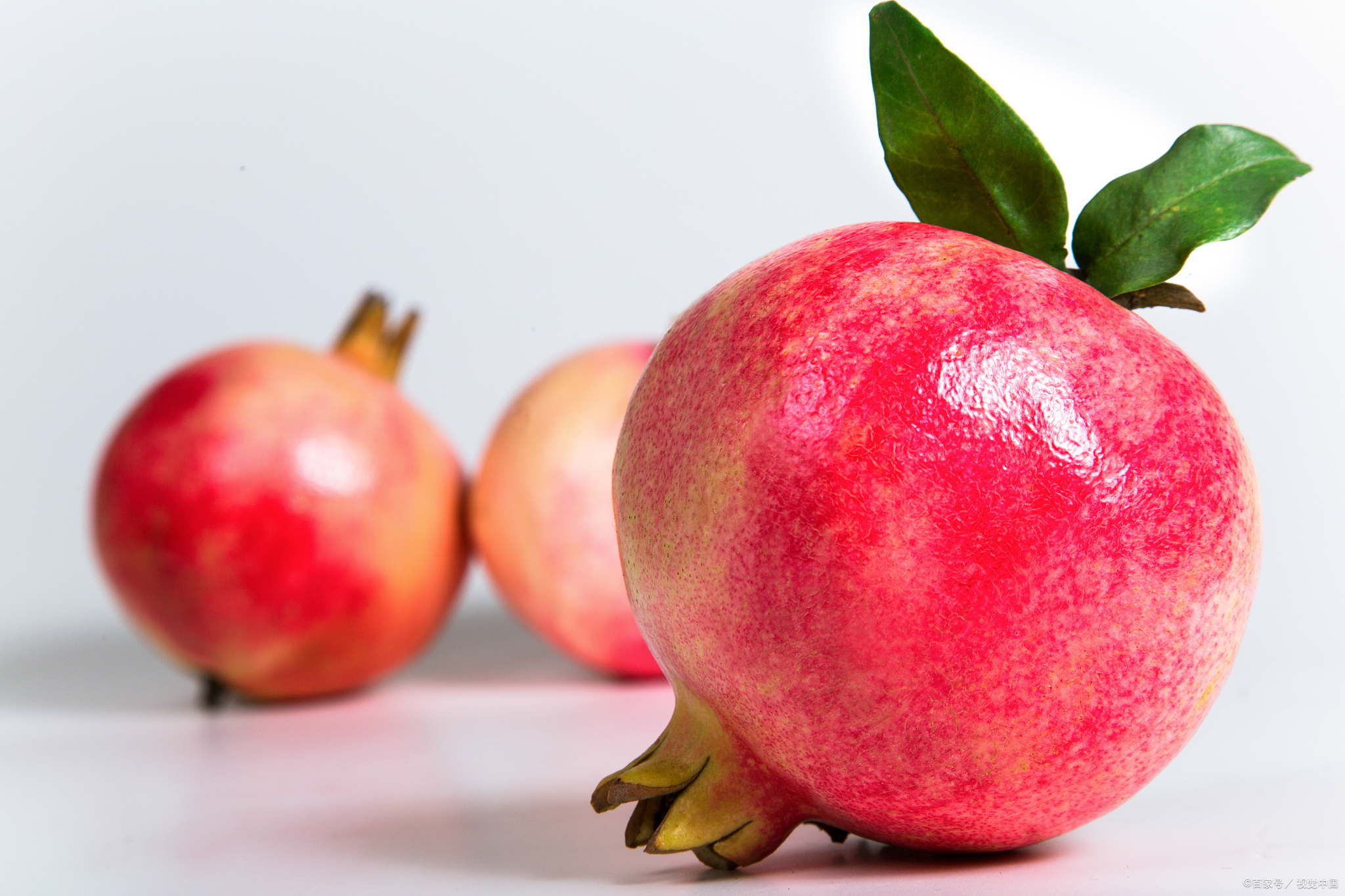 石榴成熟季节是几月份?