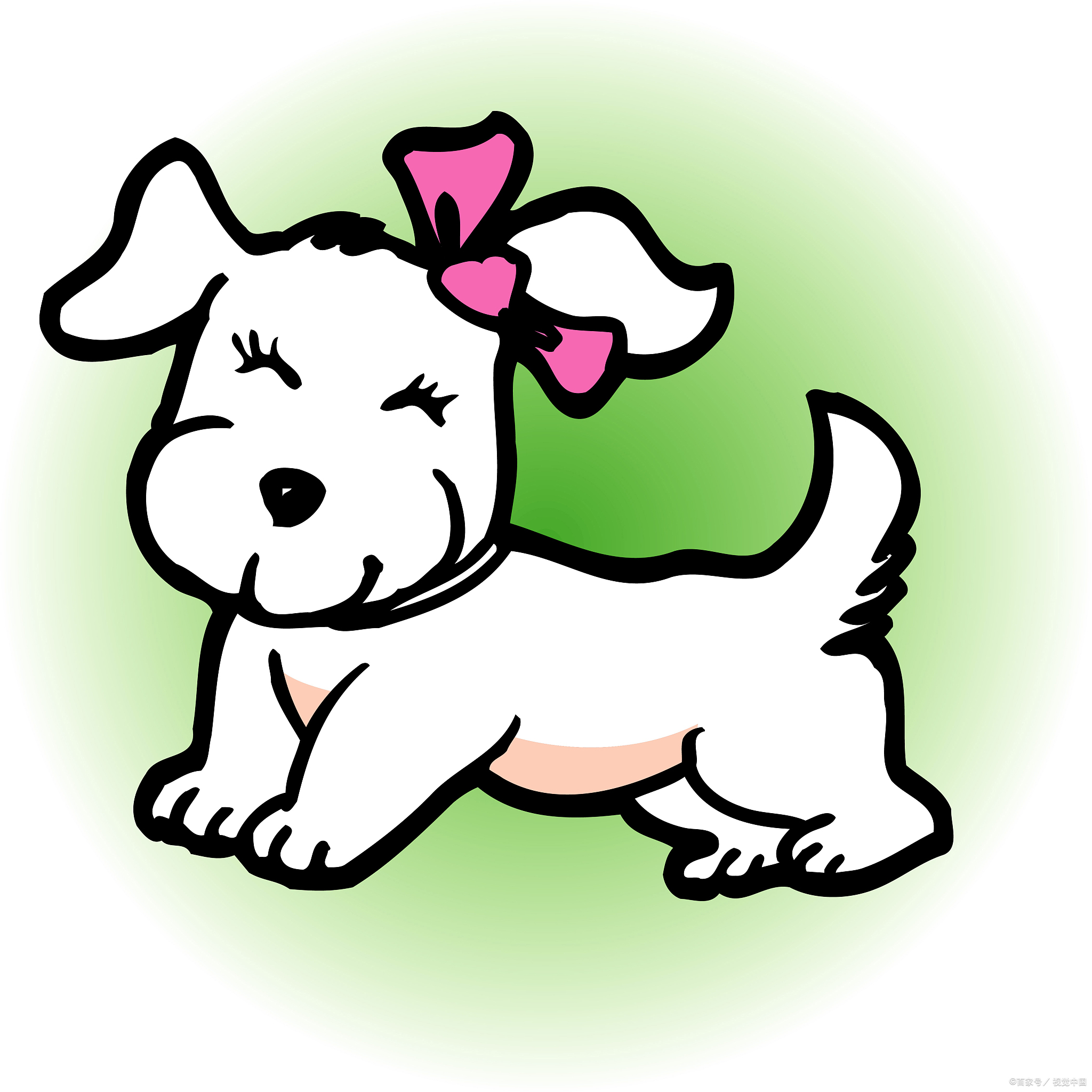 生肖狗女命1982运势(生肖狗女命1982运势好不好)