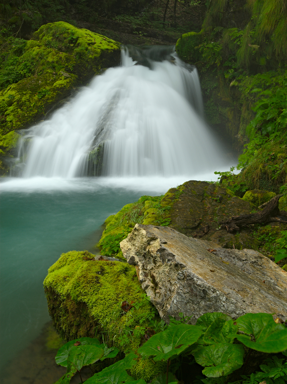 属猪的人:在事业方面有机会获得突破性进展,也有可能遇到桃花运.  2.