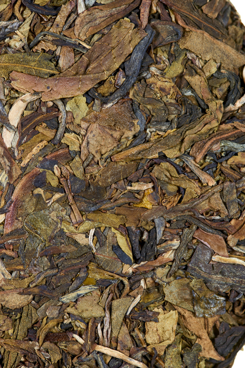 老挝灰茶的功效与作用  老挝灰茶也叫老挝白茶,是野生的植物,原始森林