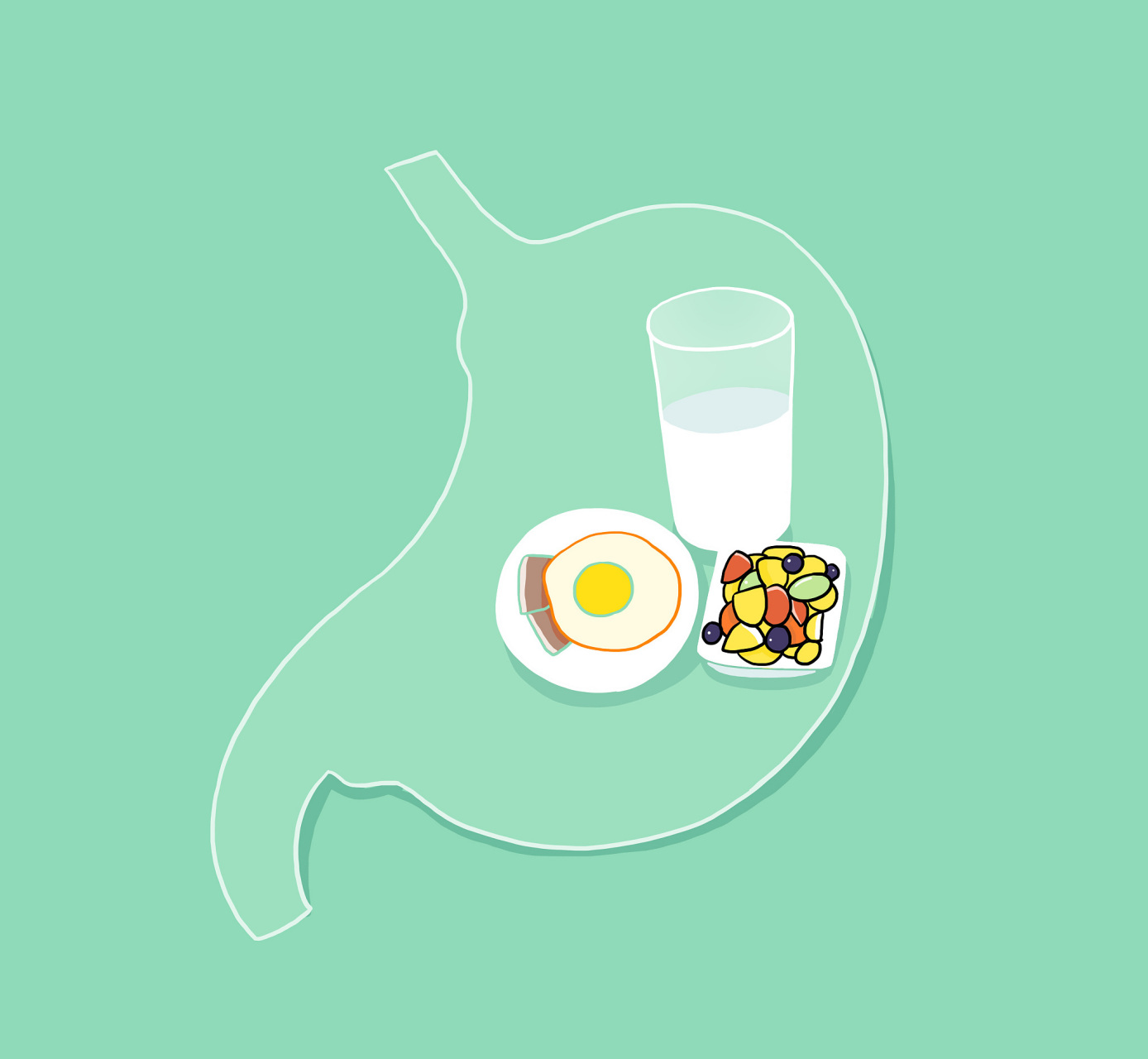 脾胃好,皮肤才能真的好 脾胃是人体能量的源头,身体