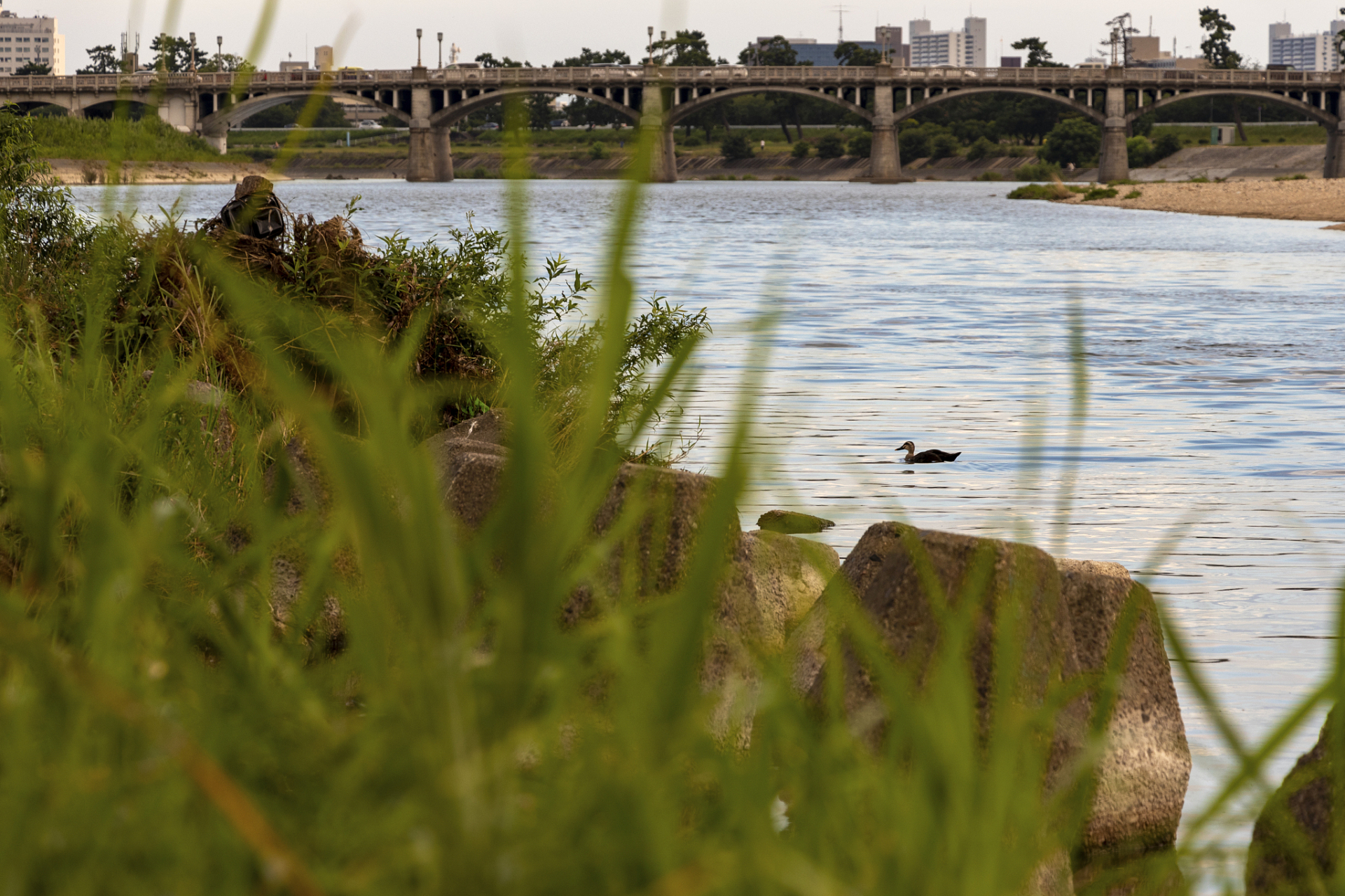 在温江这座因水而生的城市,"不舍昼夜"流淌的金马河,江安河,弹奏着最