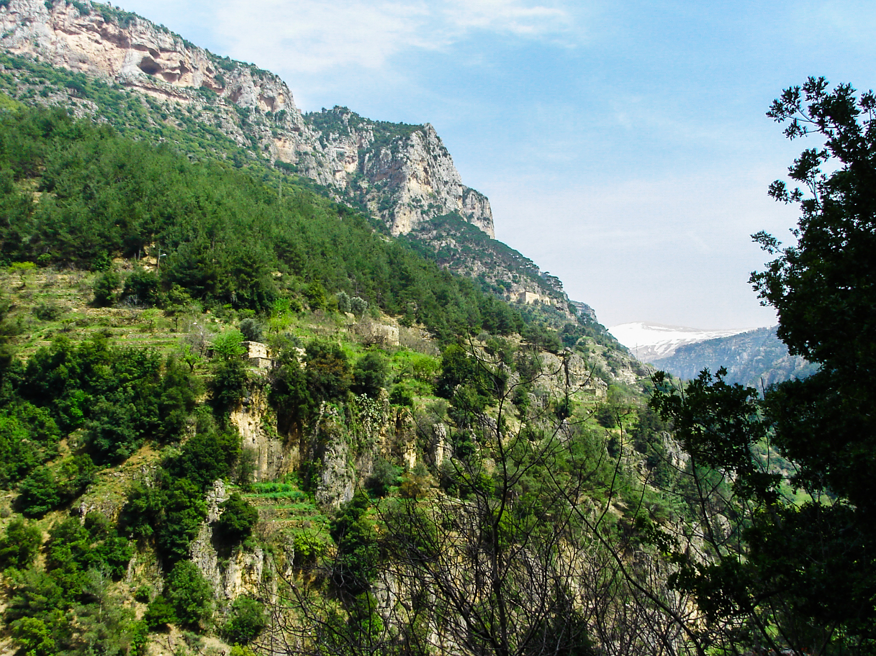 荥阳环翠峪省级森林公园综合提升.