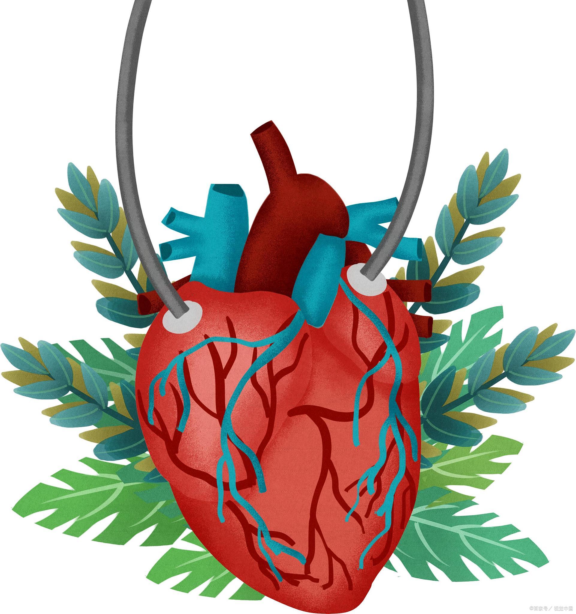 心脏跳动过快怎么办? 78.@健康管理师吉吉的动态