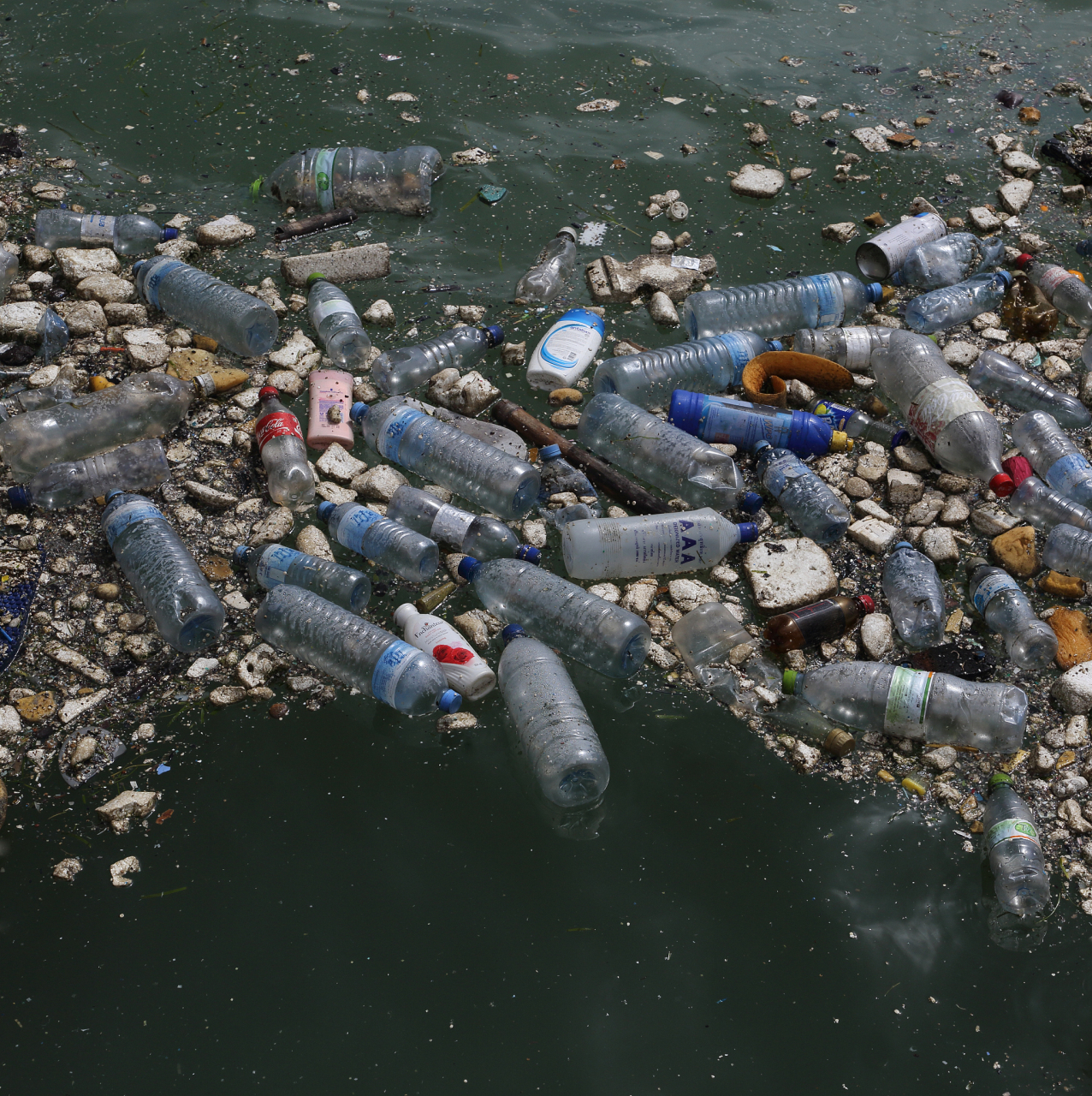 首先,核污染水排入海洋后,会污染海洋生物,导致大量死亡或变异.