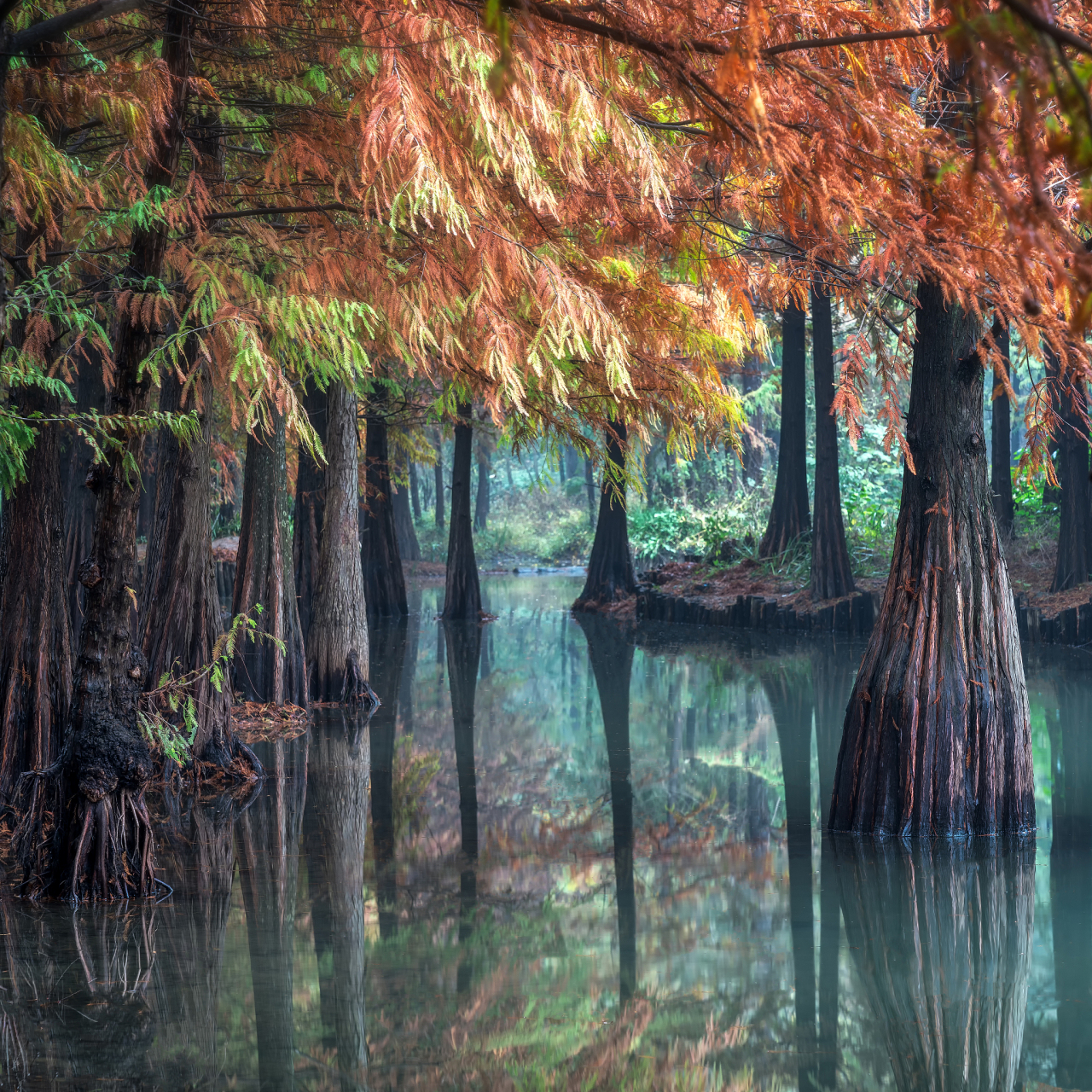 杭州九溪烟树,曲径通幽寻古意  走进杭州的九溪烟树,仿佛穿越了时光的