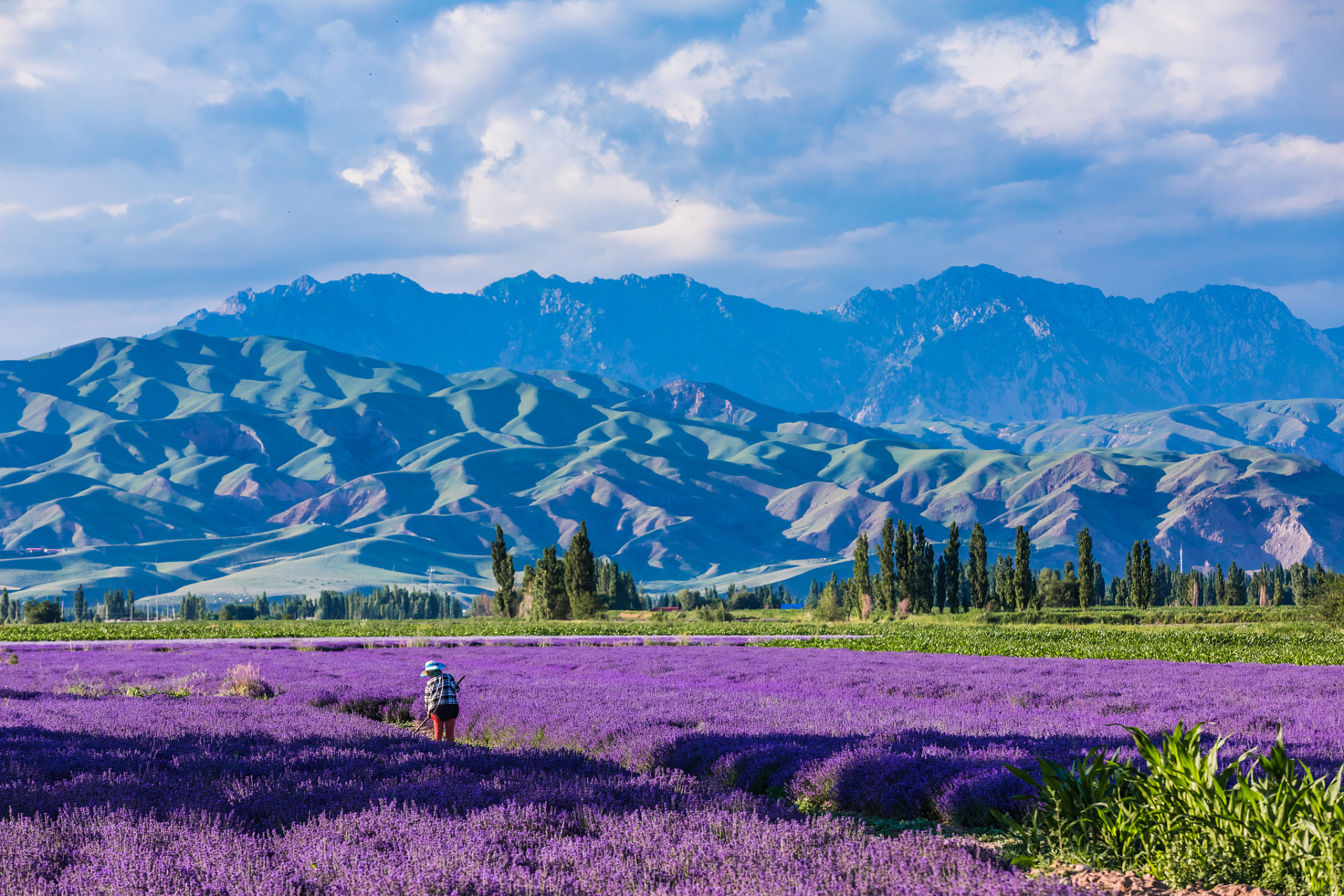 但是,什么时候去伊犁旅游最好呢?