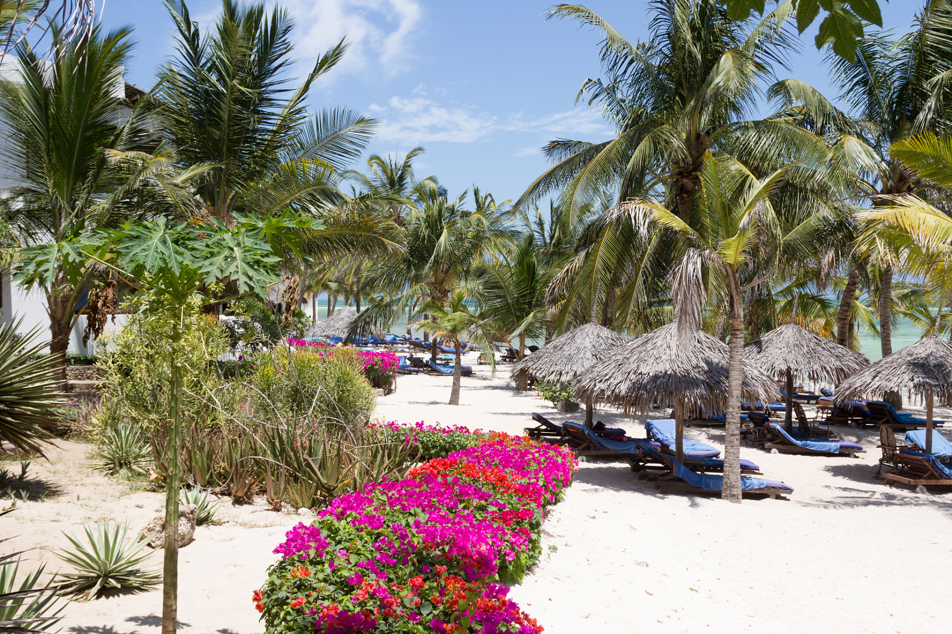 海口假日海滩公园,热带花园的春意盎然.鲜花盛开,绿植葱茏,椰风送爽.