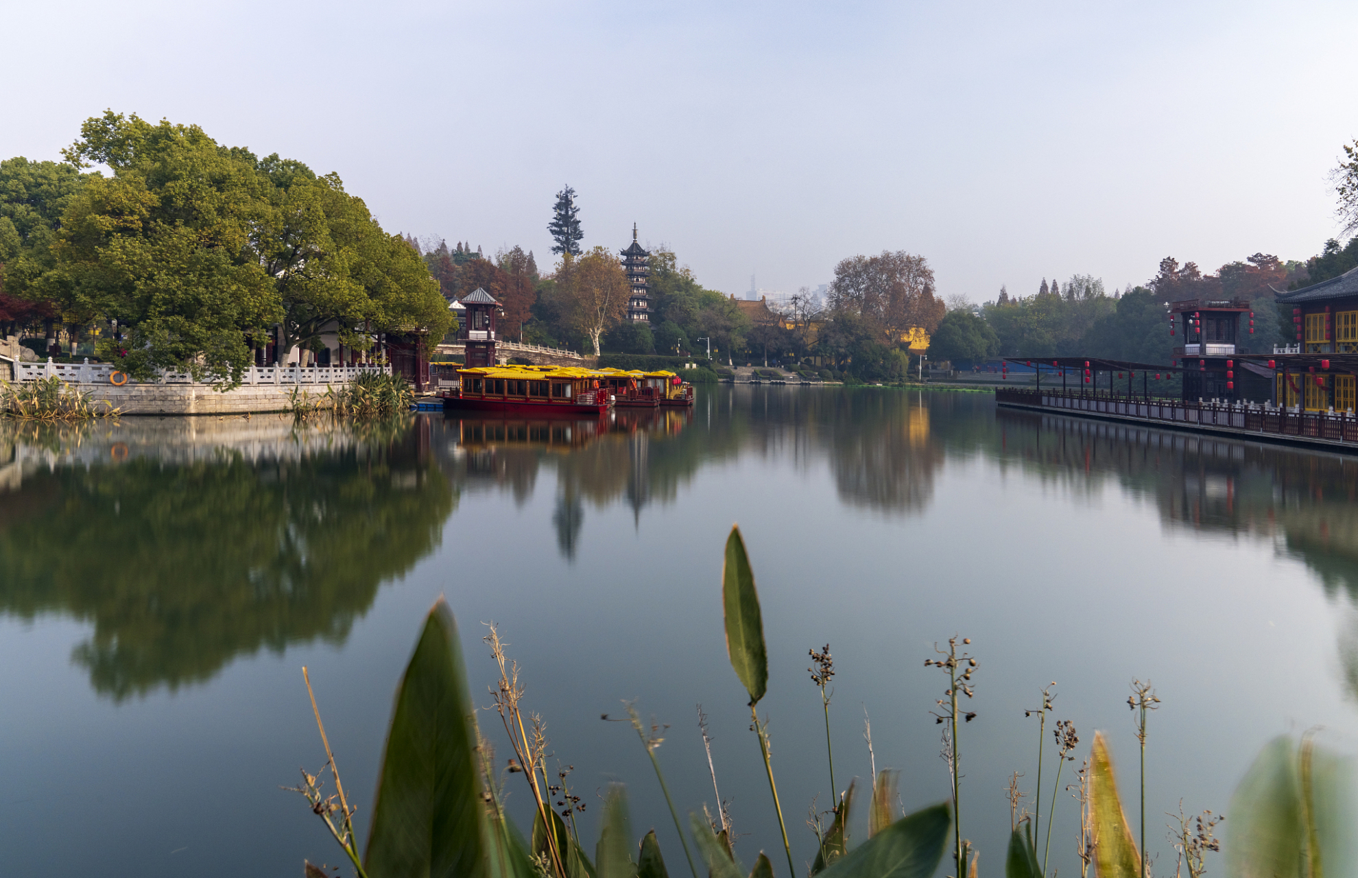 白鹭洲公园以其宜人景致和多样化的娱乐活动,为人们提供了一处亲近