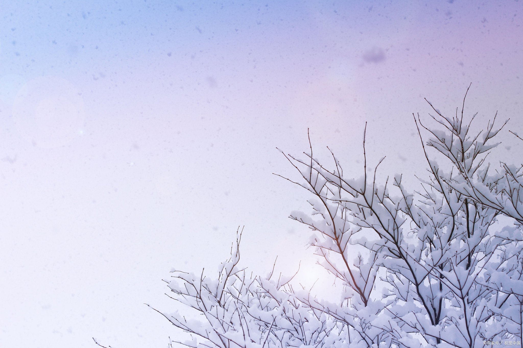 雪花飘飘,冬日暖心.2. 雪落