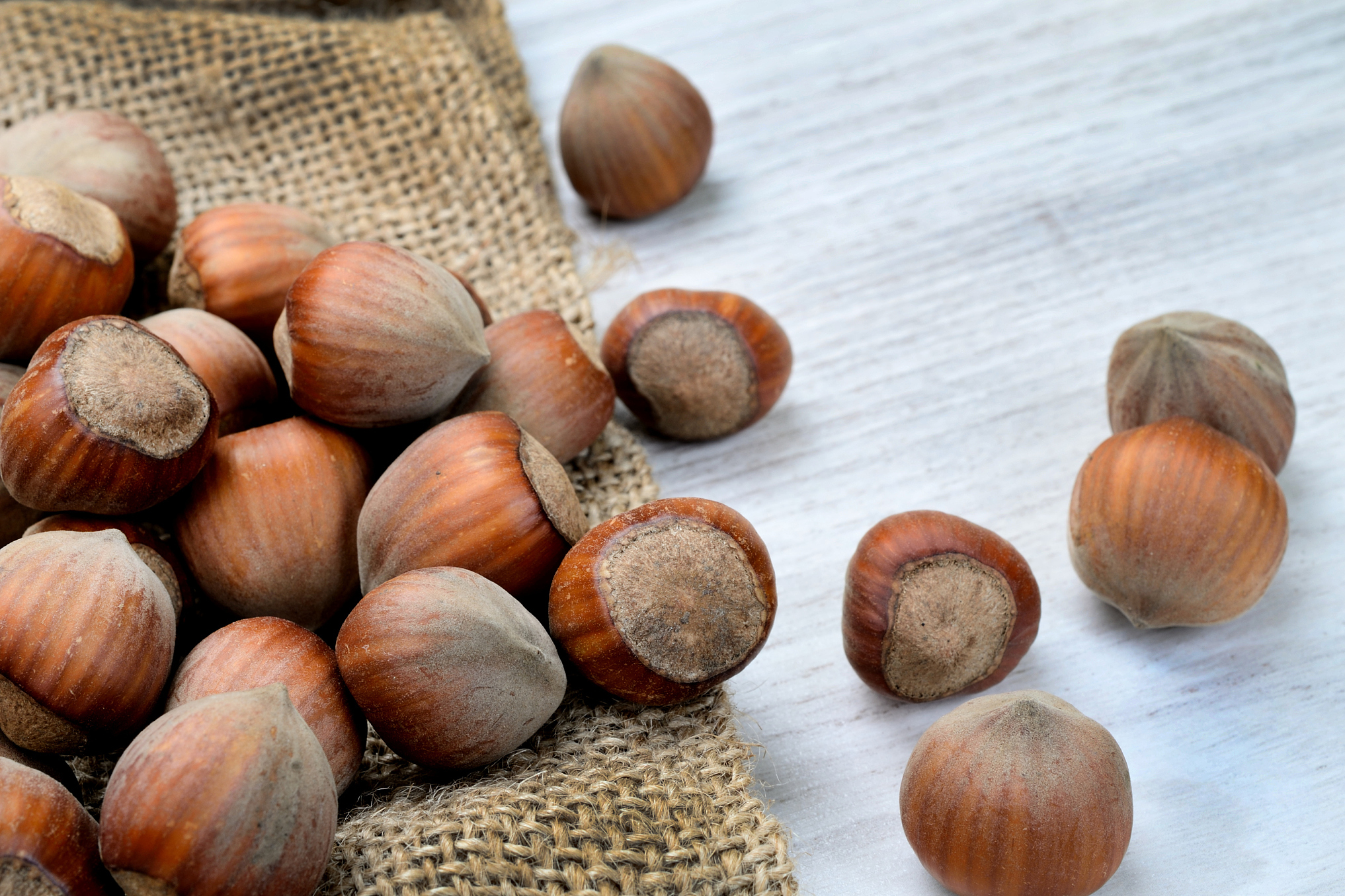 橡子通常更大,更硬,多用于制作面包和酿酒,而榛子较小,较软,常用作