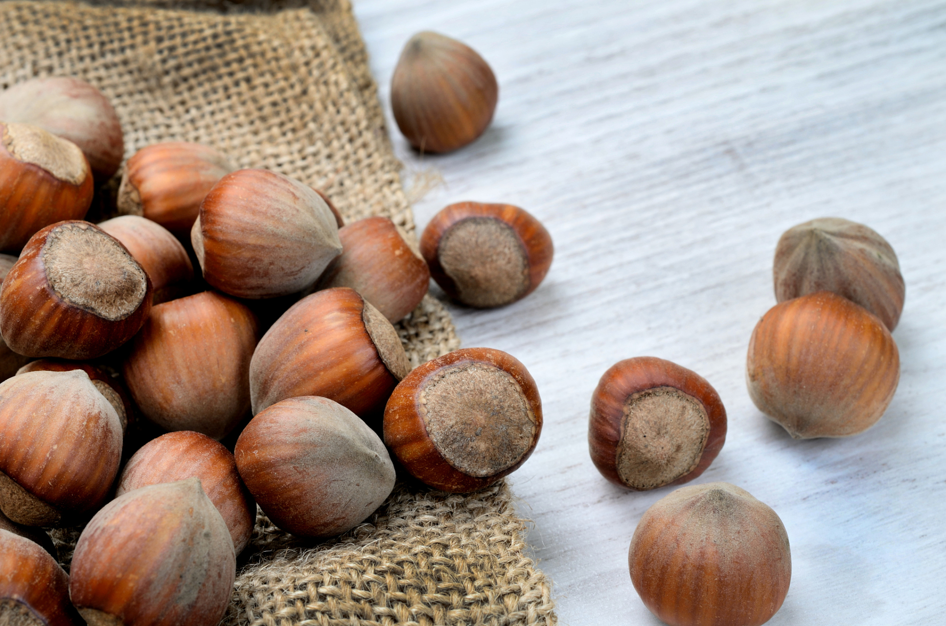 橡子和榛子虽外形相似,但来源,生长环境,口感,营养价值各有特点.