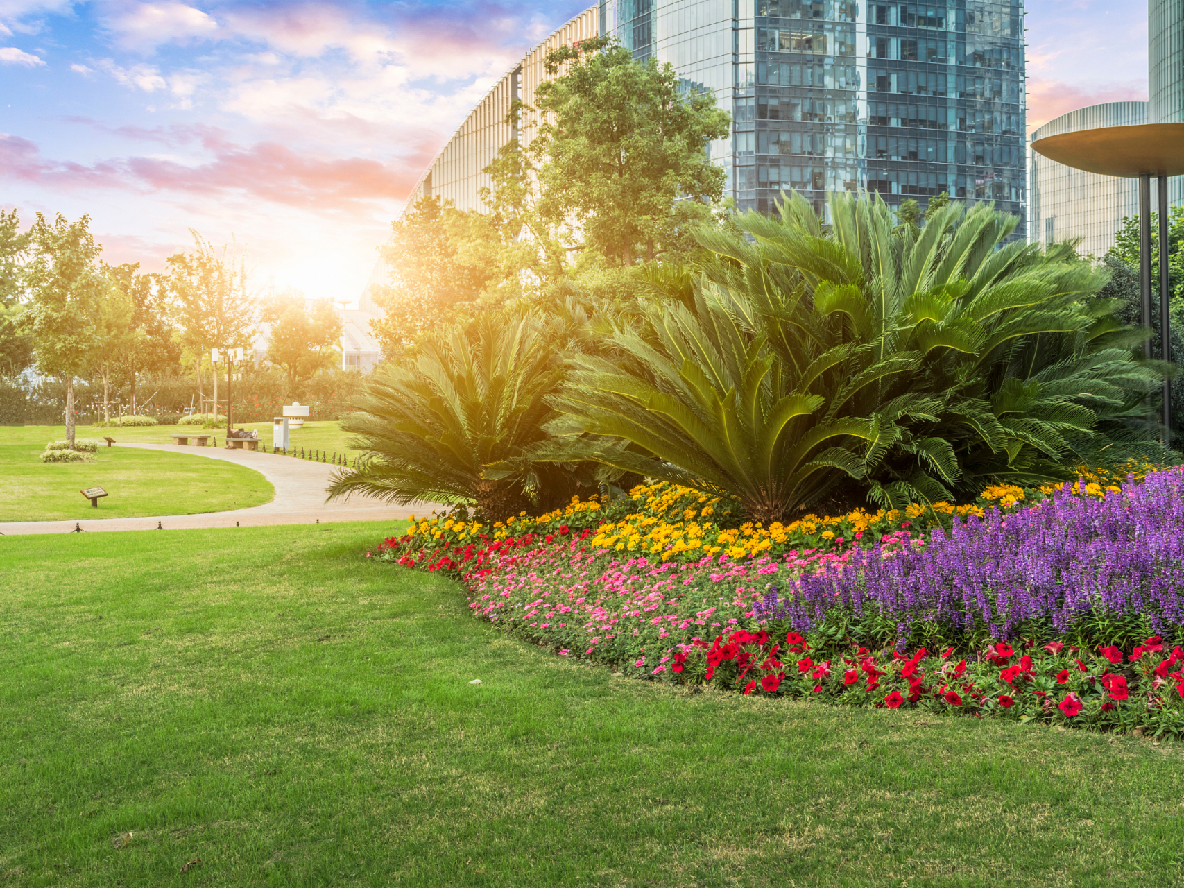 城市绿化不能异化 一段时间以来,我国不断拓展城市生态空间,大力推动