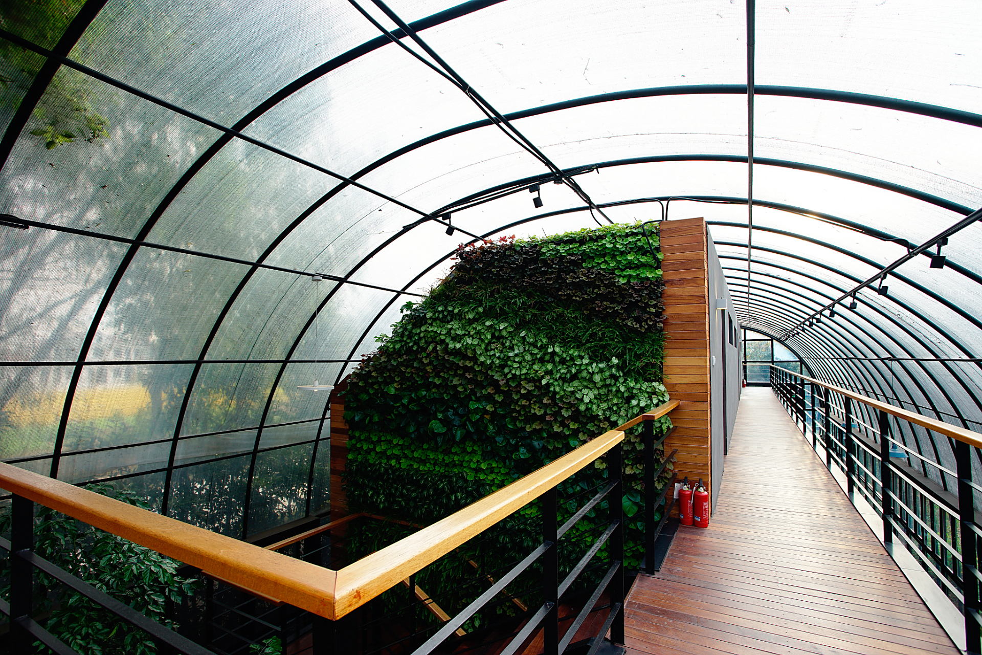 荷兰智能玻璃温室#   荷兰智能玻璃温室,高科技的农业魔法仓库!