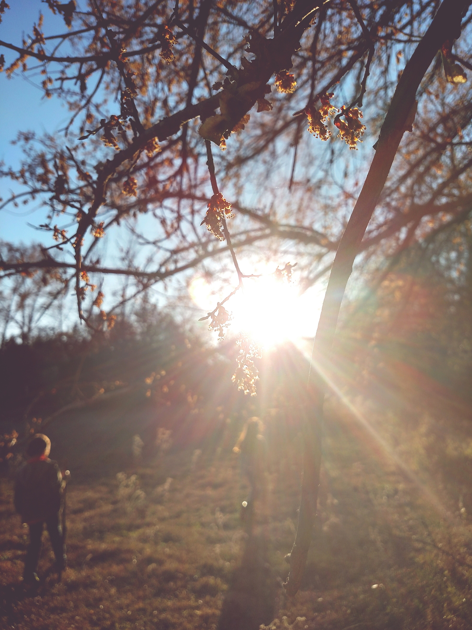 一杯温水,唤醒沉睡的灵魂,早安,不仅是向新的一天问好,更是对自我坚持