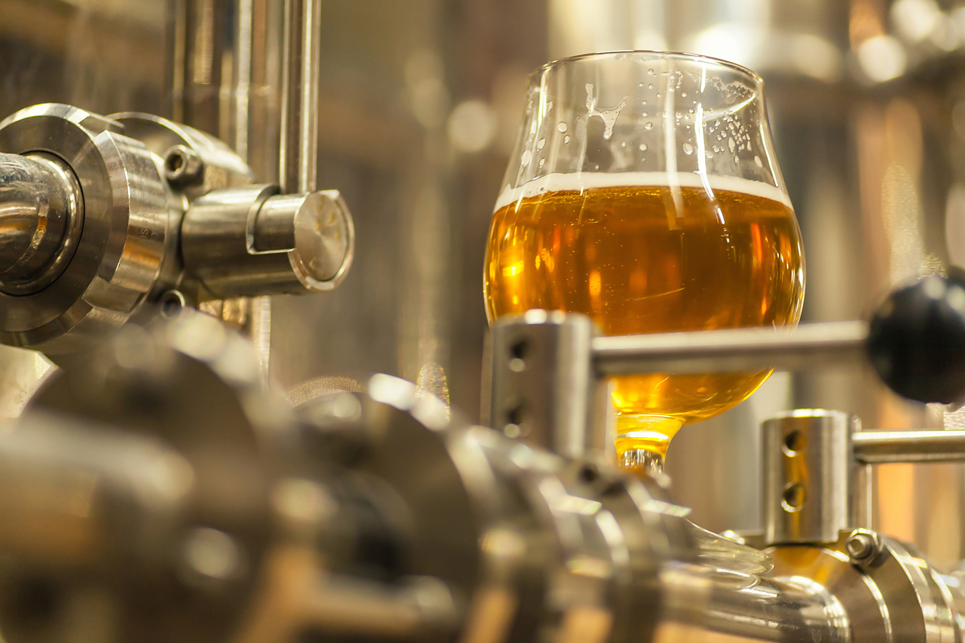 精酿啤酒 vs 普通啤酒:它们的区别在哪里?