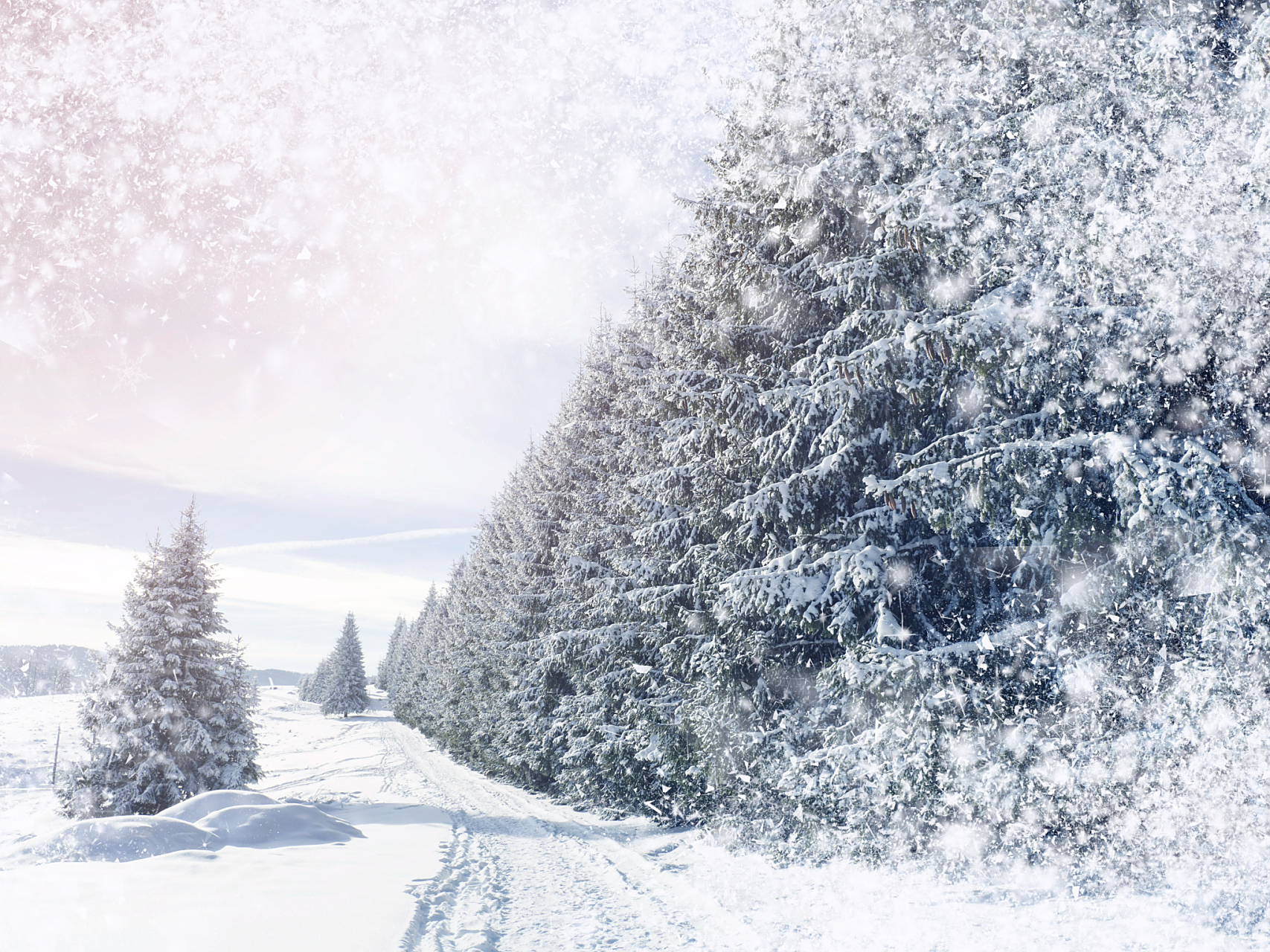 绥芬河暴雪红色预警!