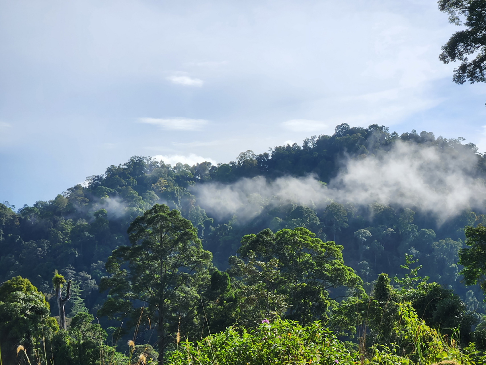祝山是欣赏阿里山日出的最佳地点.