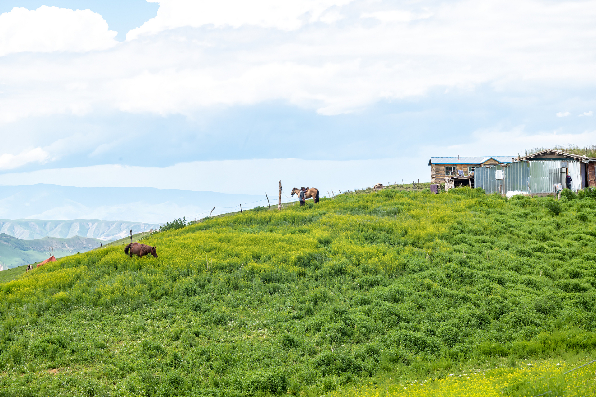 夏日闪光旅行家# 巫溪红池坝天子城,犹如一座高耸入云的天然堡垒.