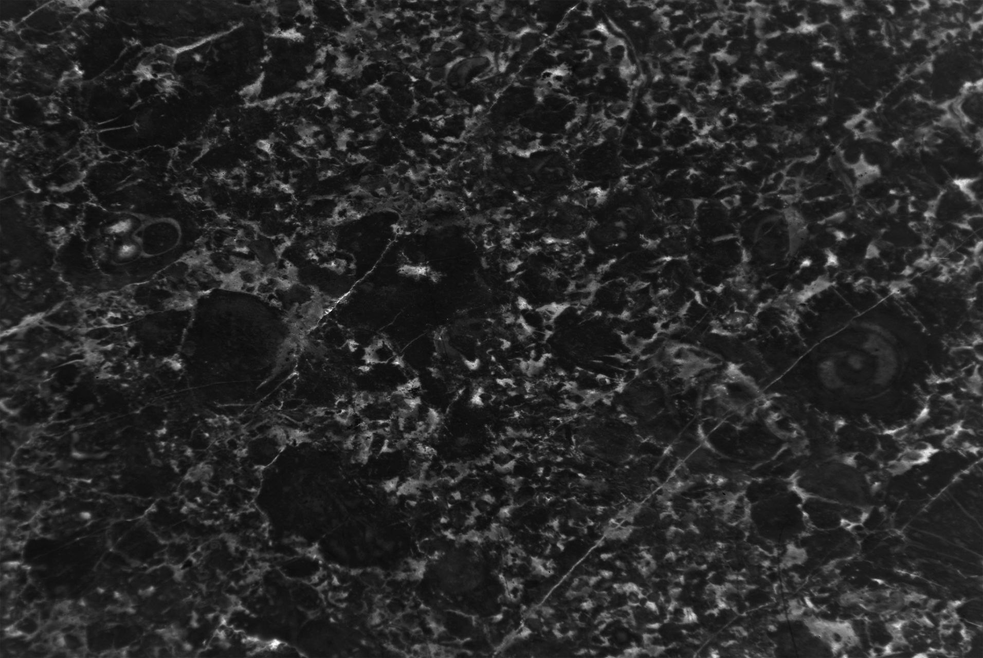 9015山西黑石材的产地  山西黑石材是一种高品质的建筑材料,常用