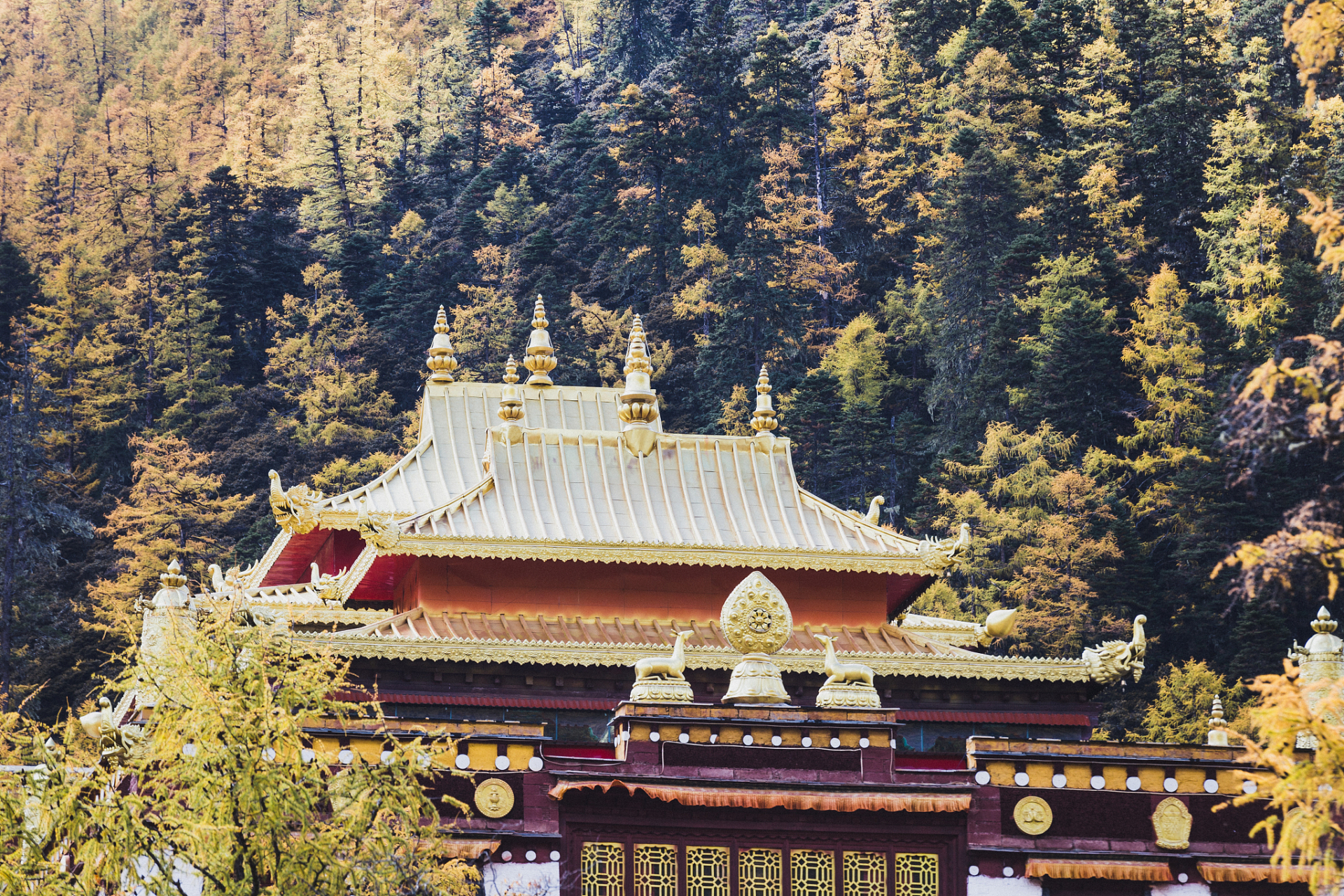 黄龙寺,黄龙寺以道家为主流,相传助大禹治水的东海黄龙功成身退修道