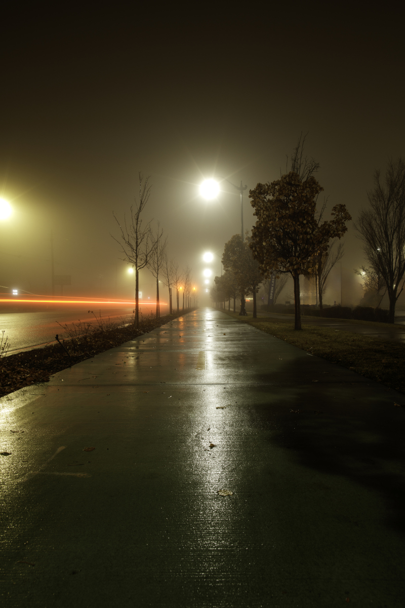 在漫长的黑夜里,真正的成长不在于泪水横流的瞬间,而是你紧咬下唇,让