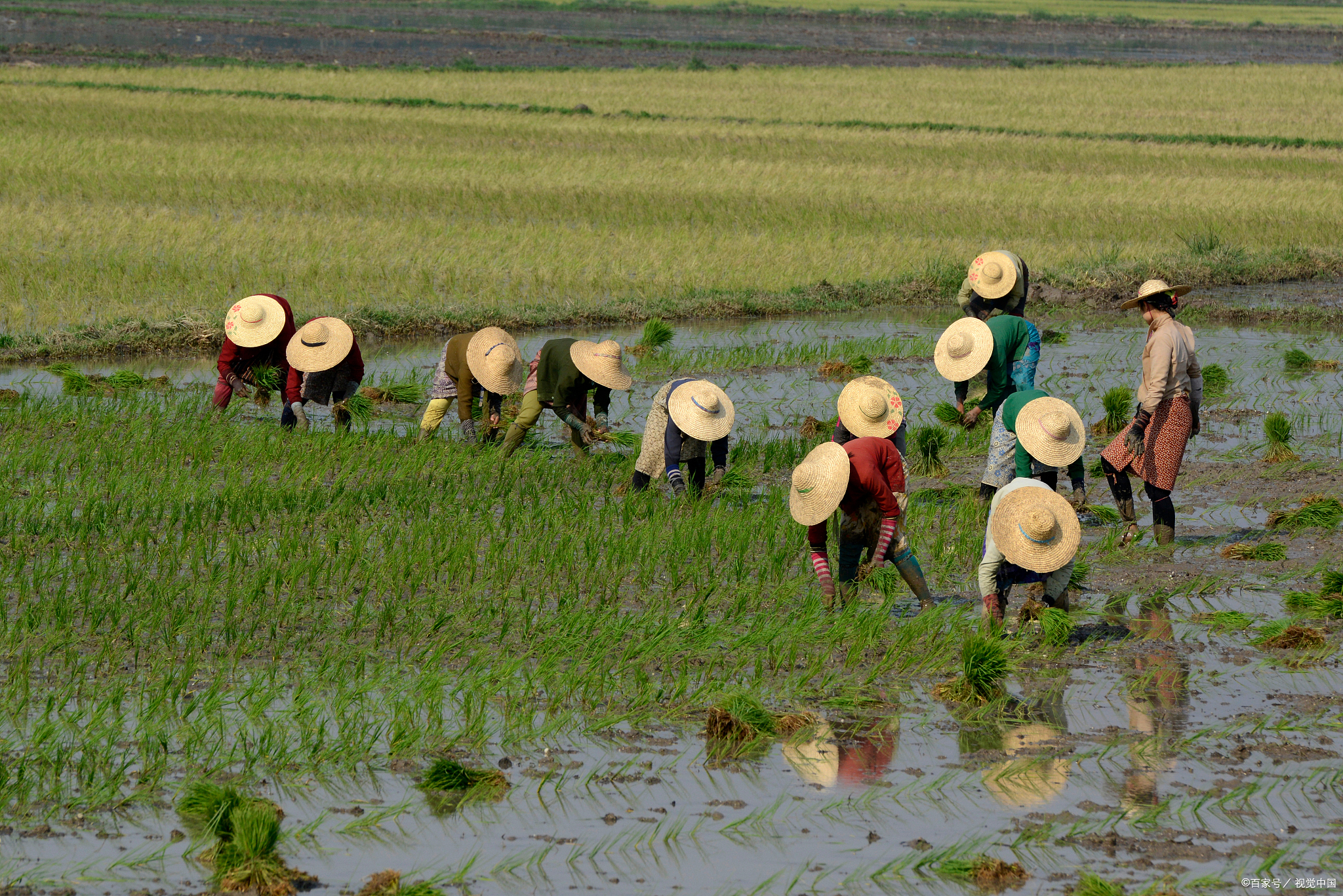 赣南春耕 土地流转 与农民权相关图片5