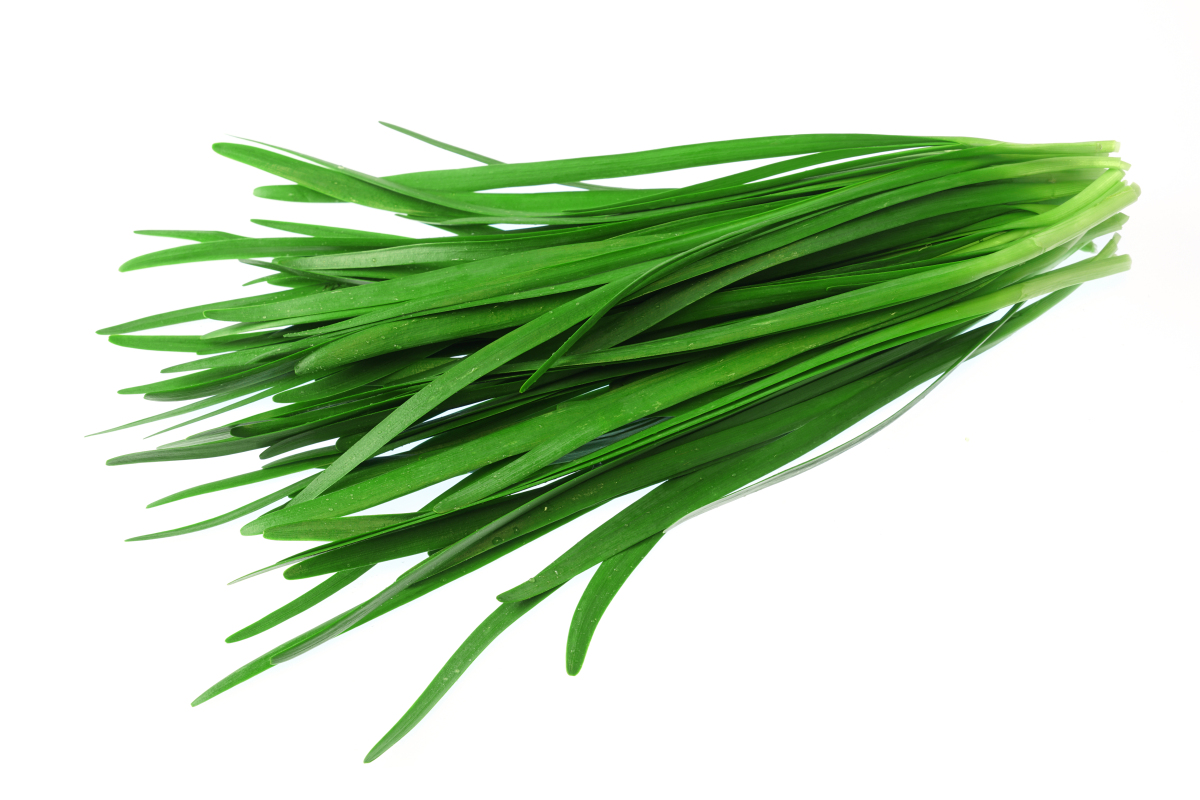 正宗韭菜猪肉馅的做法:  1 准备食材:韭菜,猪肉糜,鸡蛋,姜末,生抽