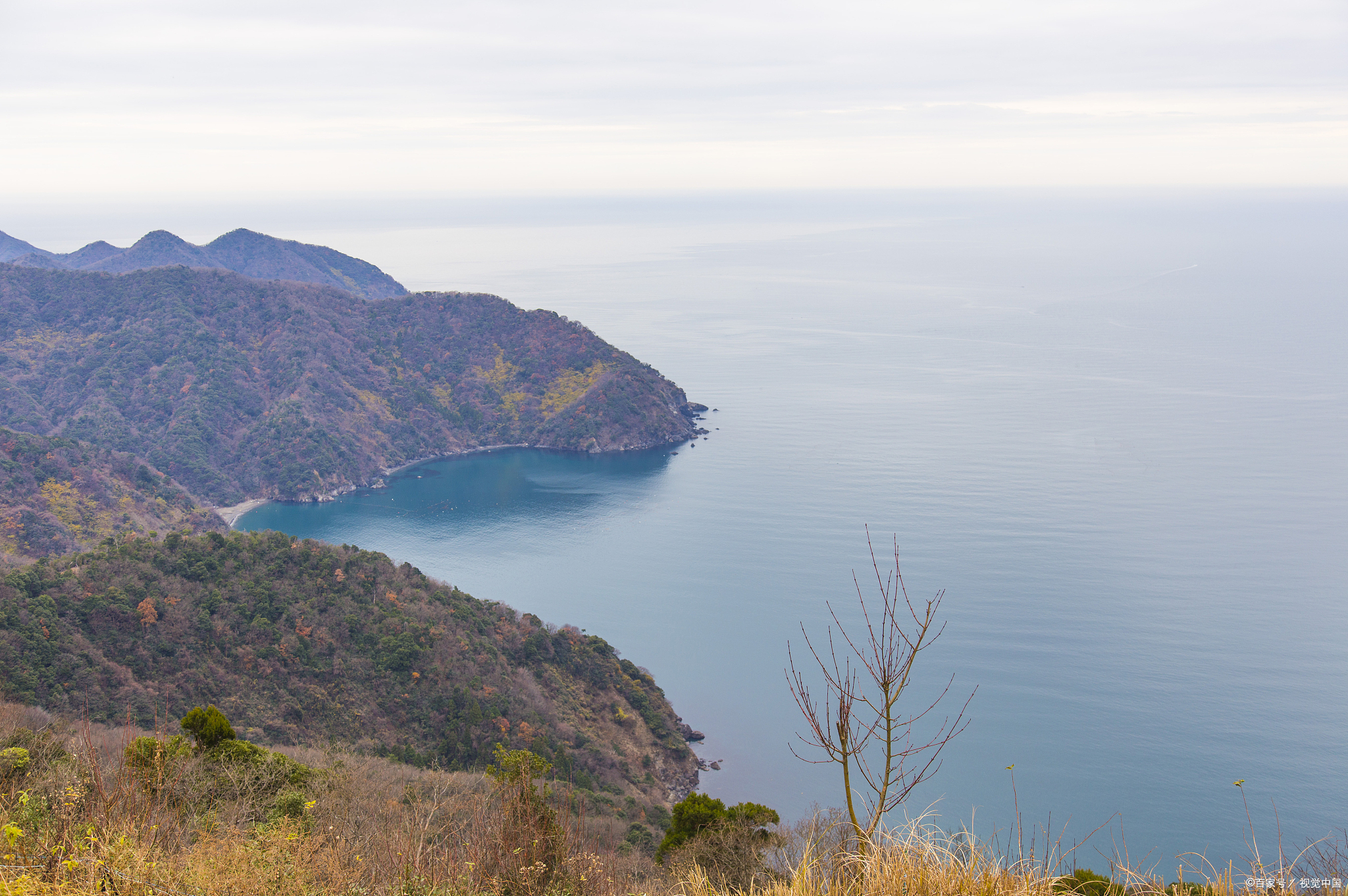 1977年日本主动将津轻海峡等处的领海宽度设为3海里为什么