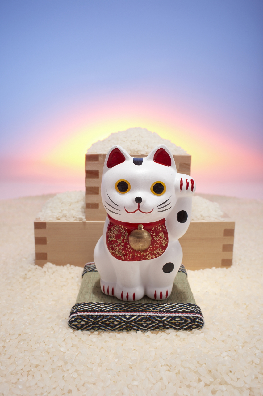 招财猫实验:两根"胡须"带来财运,可信吗? 招财猫真的能招财吗?