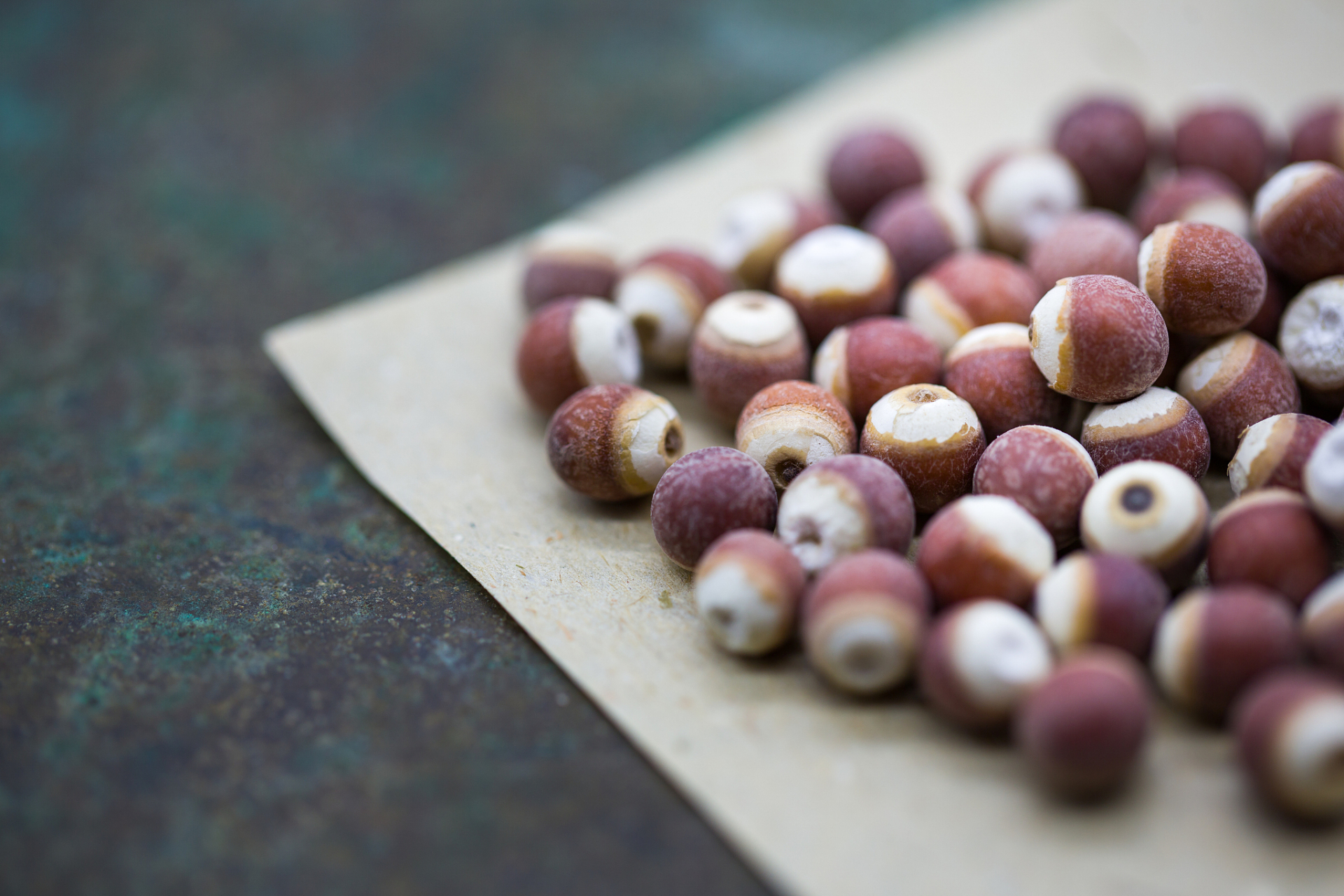 11药材产地行情快讯: