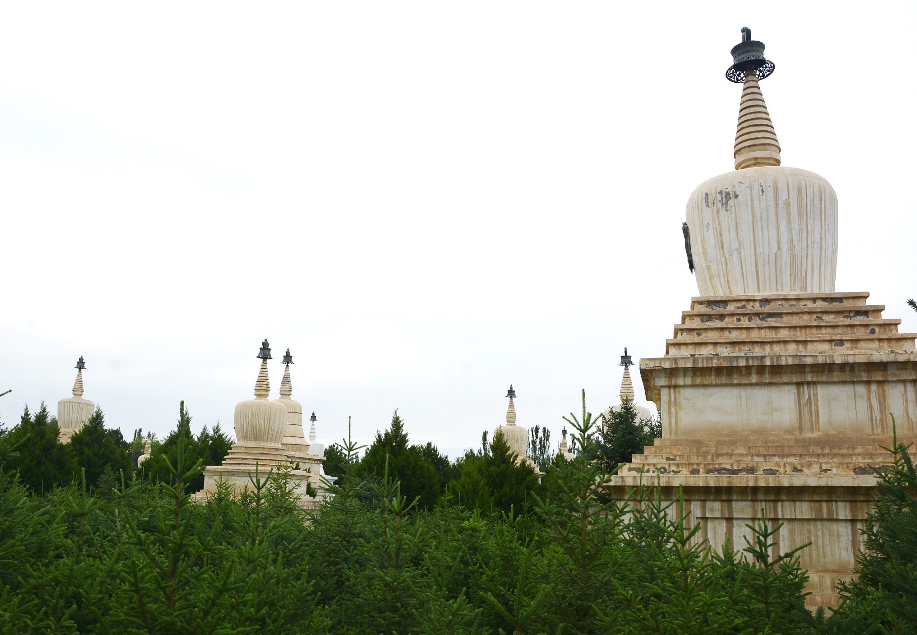 武威市的五大景点包括雷台景区,白塔寺,天梯山石窟,神州荒漠野生动物