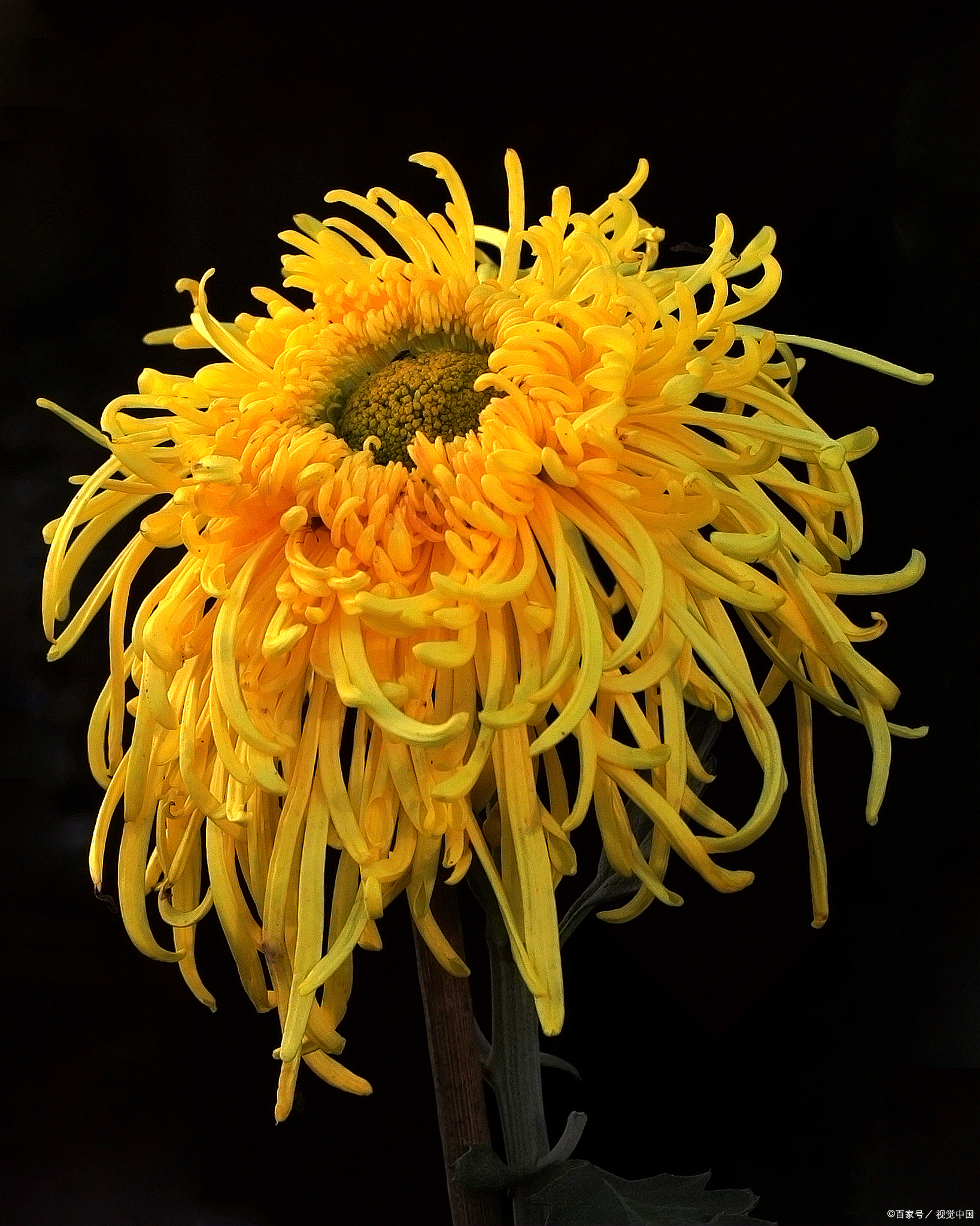 让自己快乐的秘诀,就是停止胡思乱想;让自己健康的