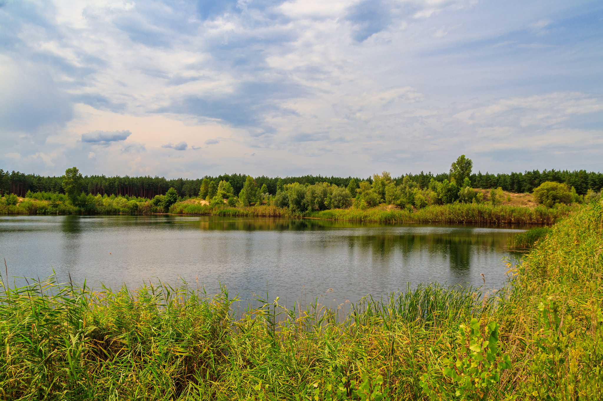 双鸭山四方台区避暑胜地,湿地公园,清凉无限!